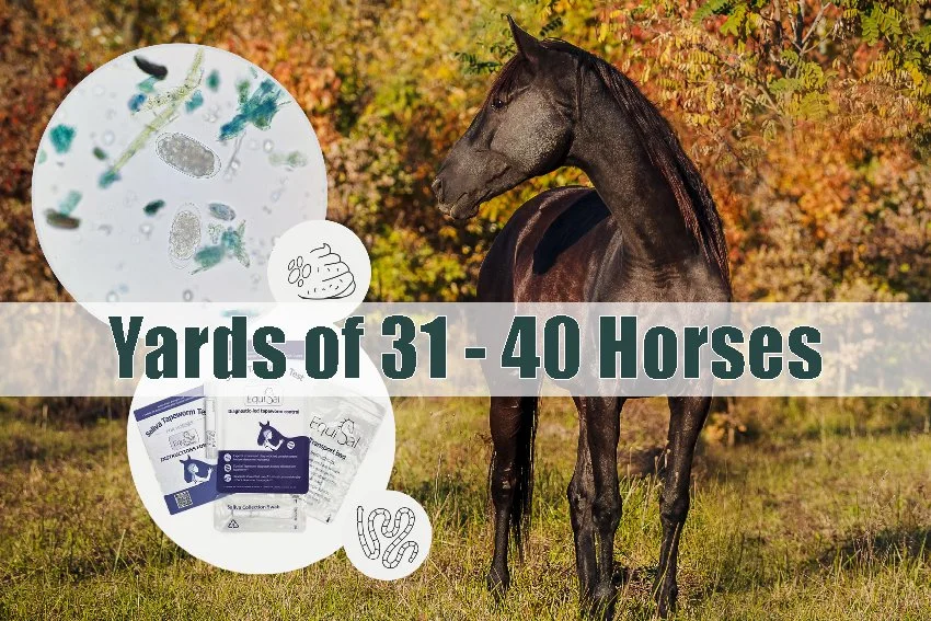 Yards 31 - 40 Horses - WEC + EquiSal Tapeworm Saliva Combo Test
