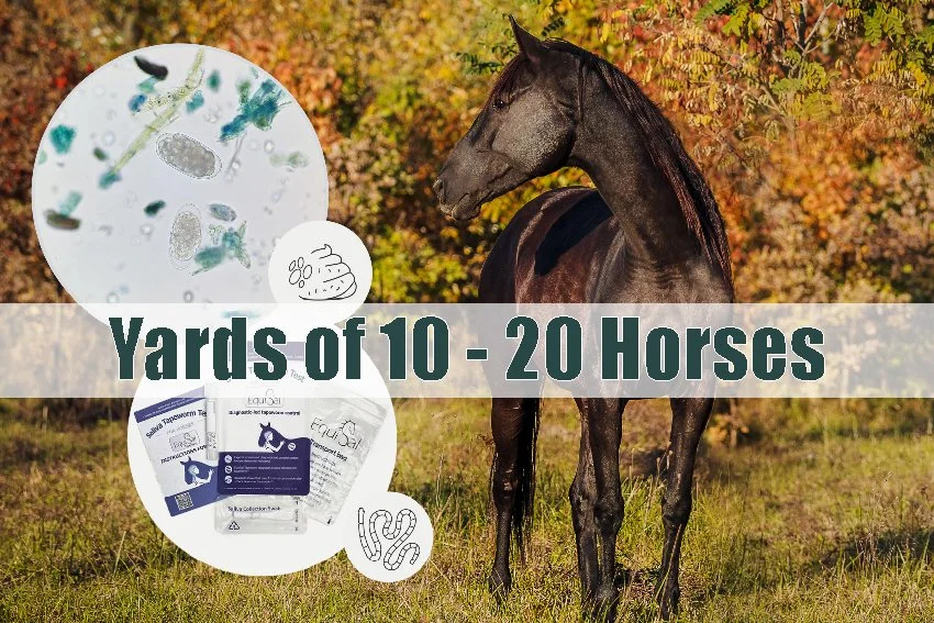 Combo test 10 - 20.jpg