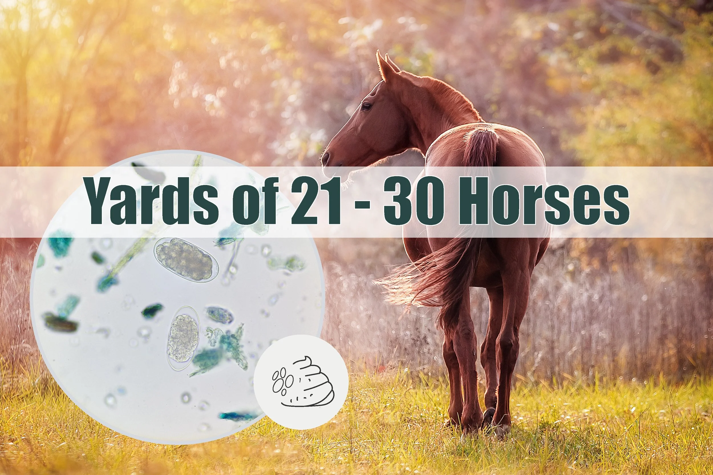 WEC  Yards 21 - 30.jpg