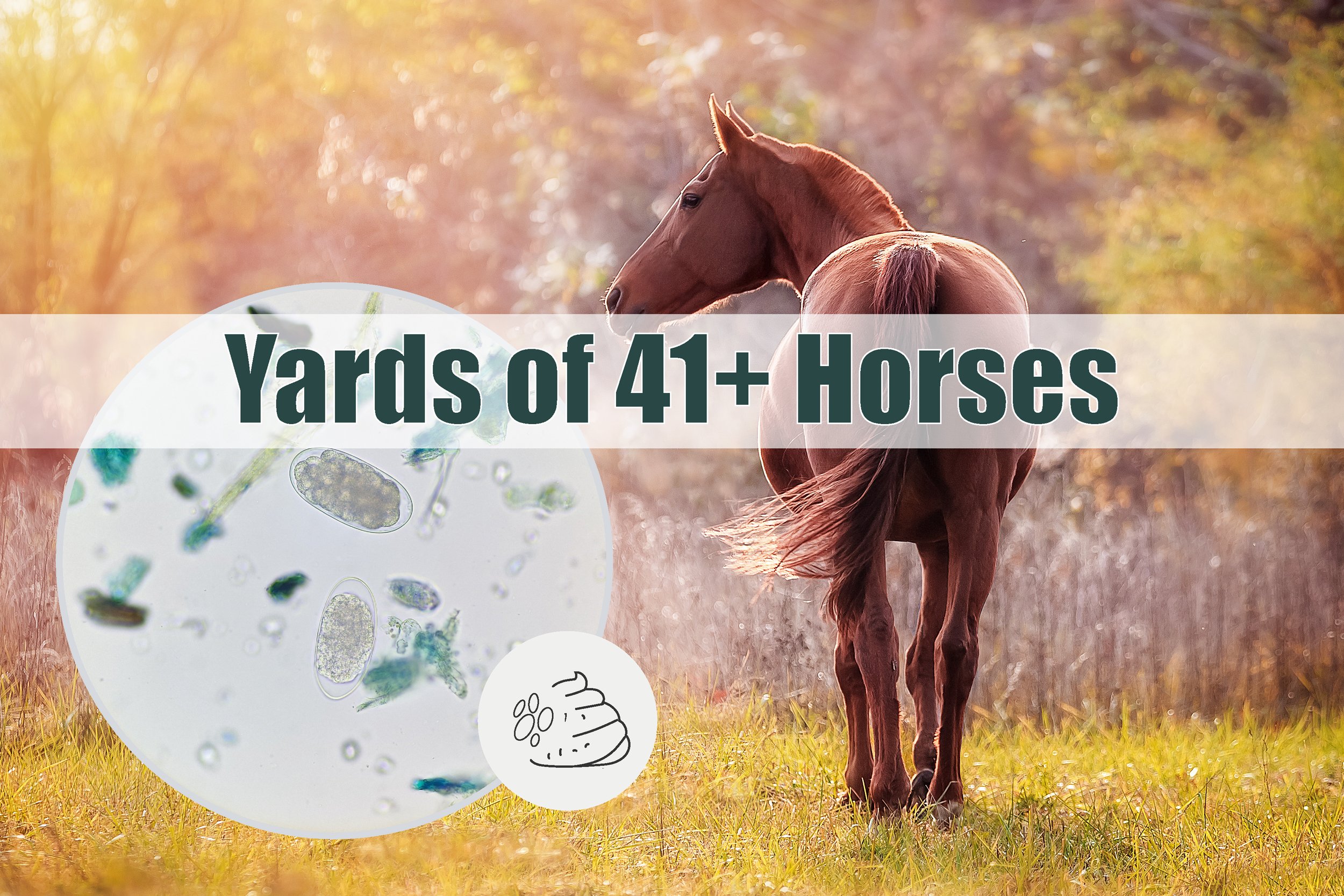 Yards of 41+ horses - Worm Egg Count
