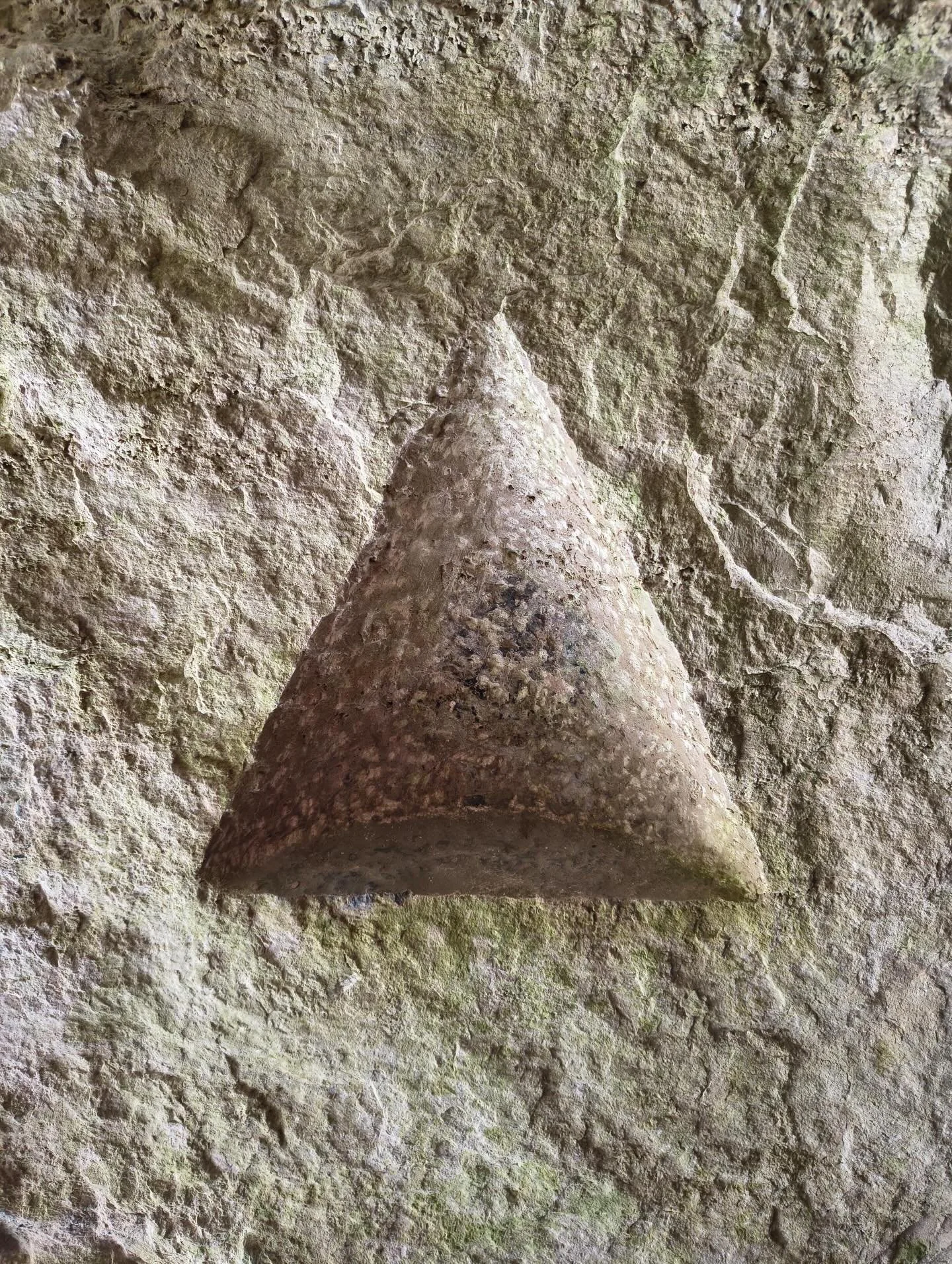 Carving found in Portland stone. 

We just spent the week exploring Portland for our project for @bsidefestival where we will be playing with shadows, light and strangeness. 

It&rsquo;s a place like nowhere else and we can&rsquo;t wait to come back 