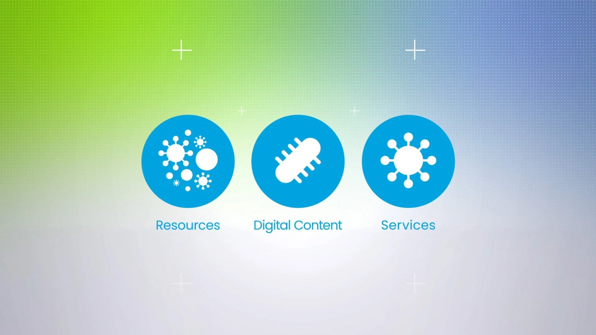 medsmart stills_0004_Layer 2.jpg