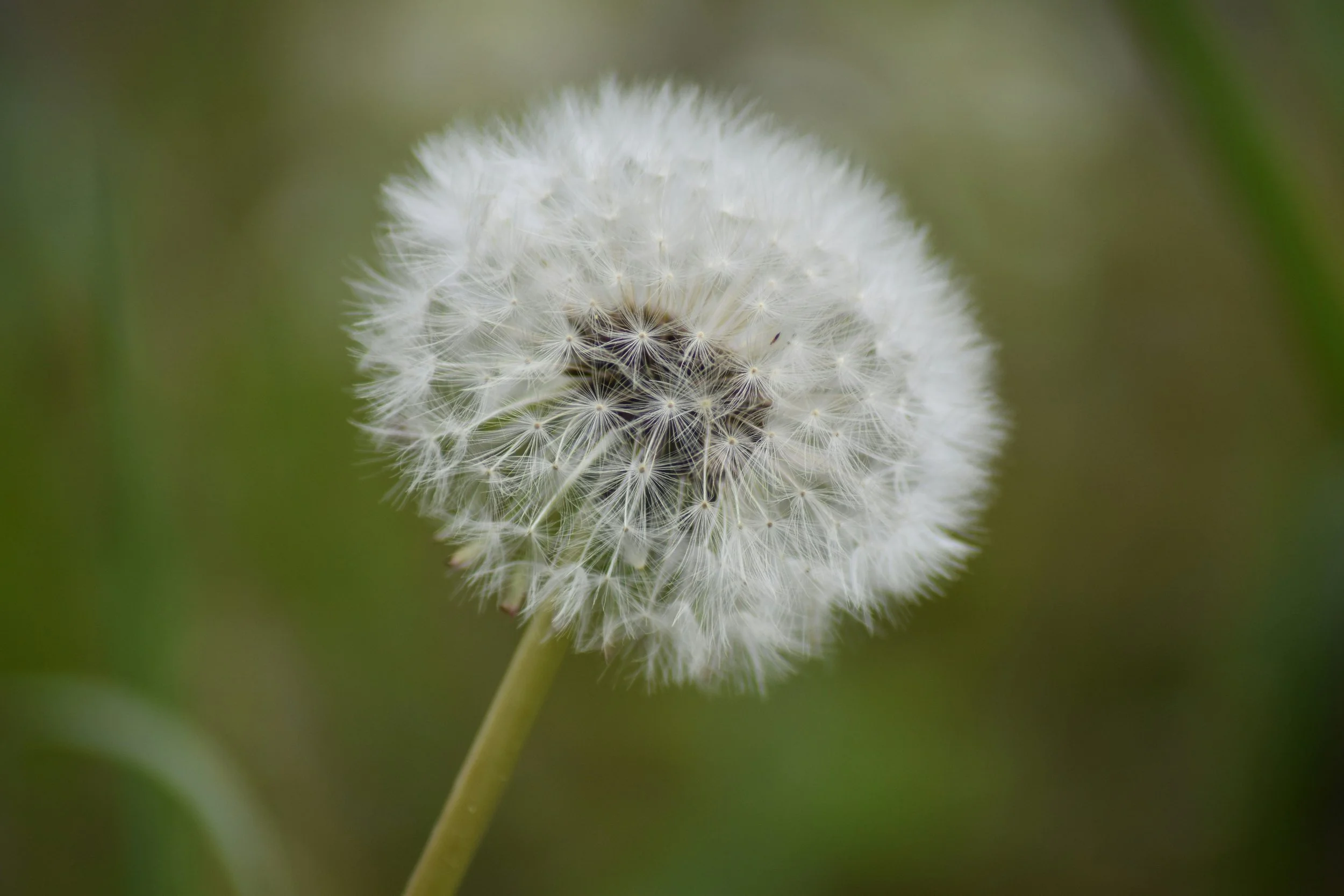 Videoblog: kijken naar wat wil waaien