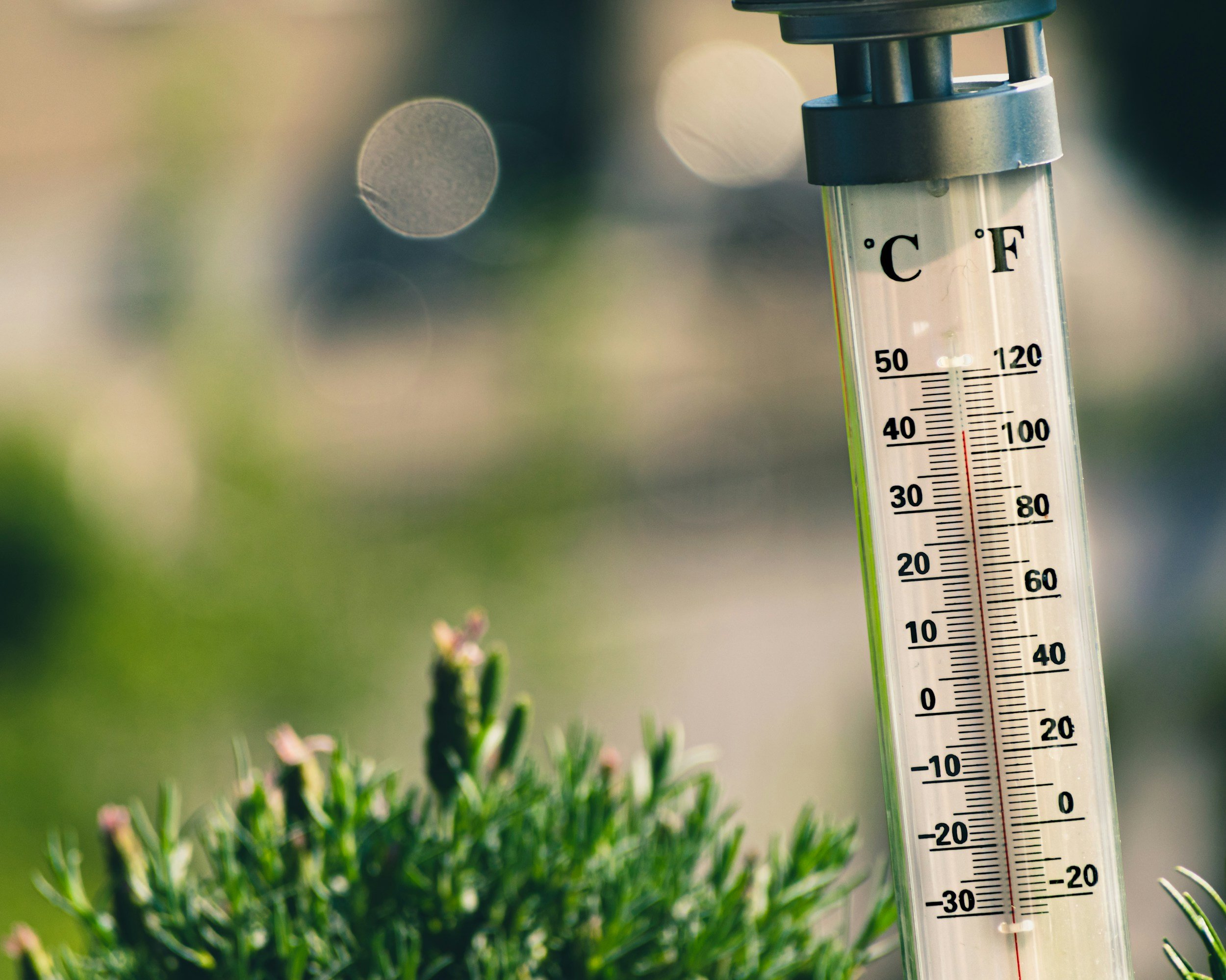Thermometer in grass