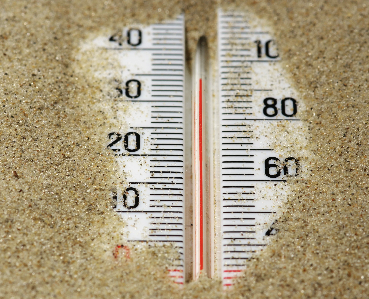 Temperature Check: Restless Leafs Update