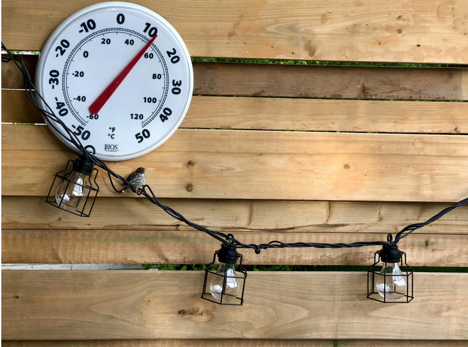 Temperature check: A Fresh 8