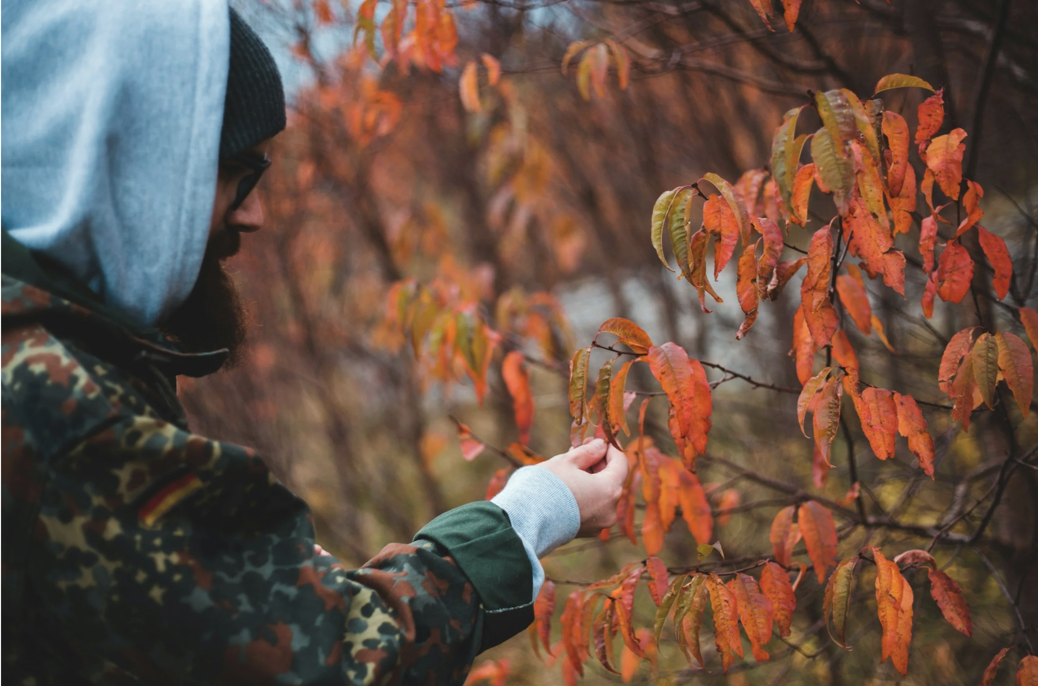 Temperature check: A Month to remember