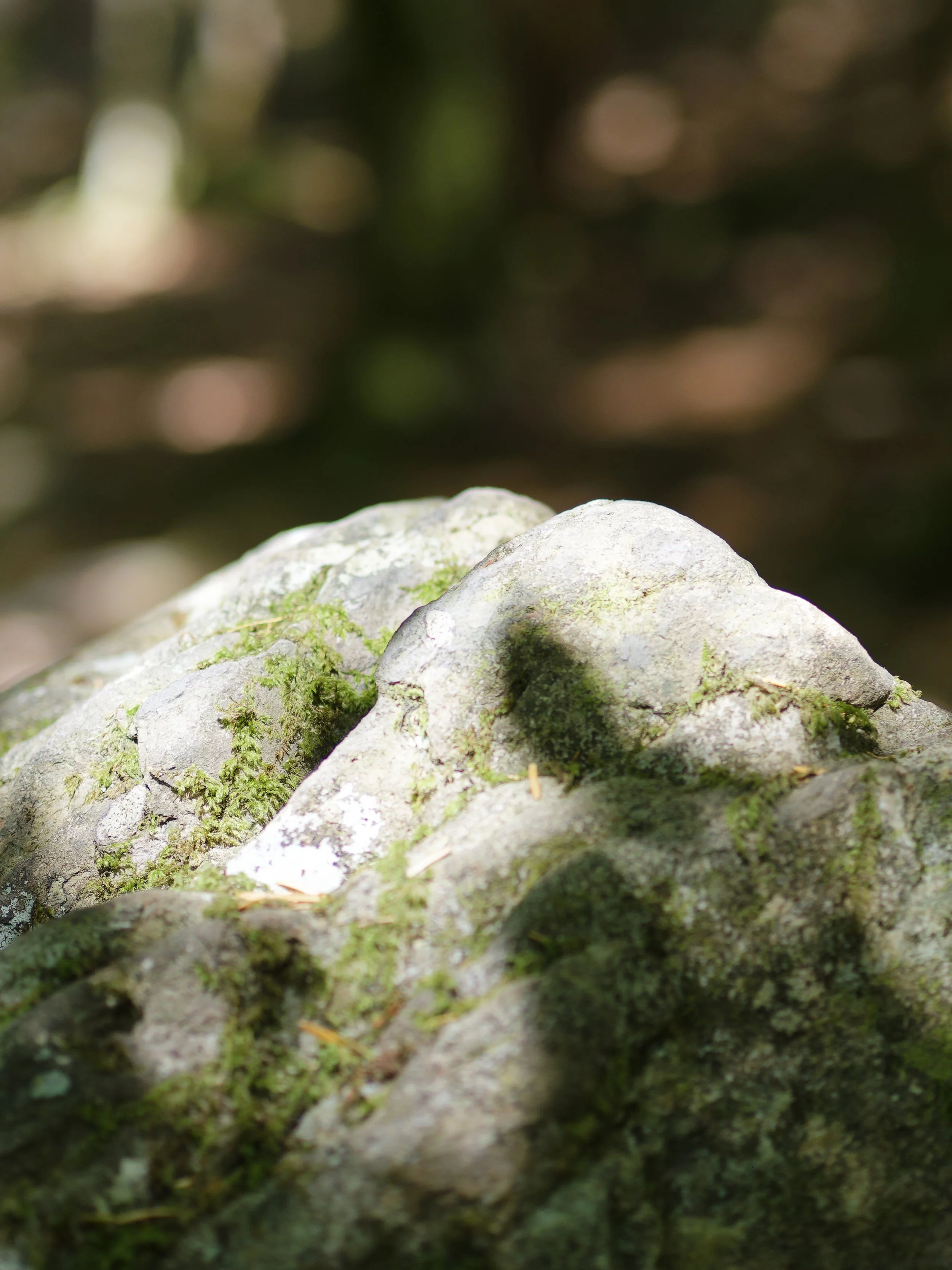 _7220467_DxO.jpg