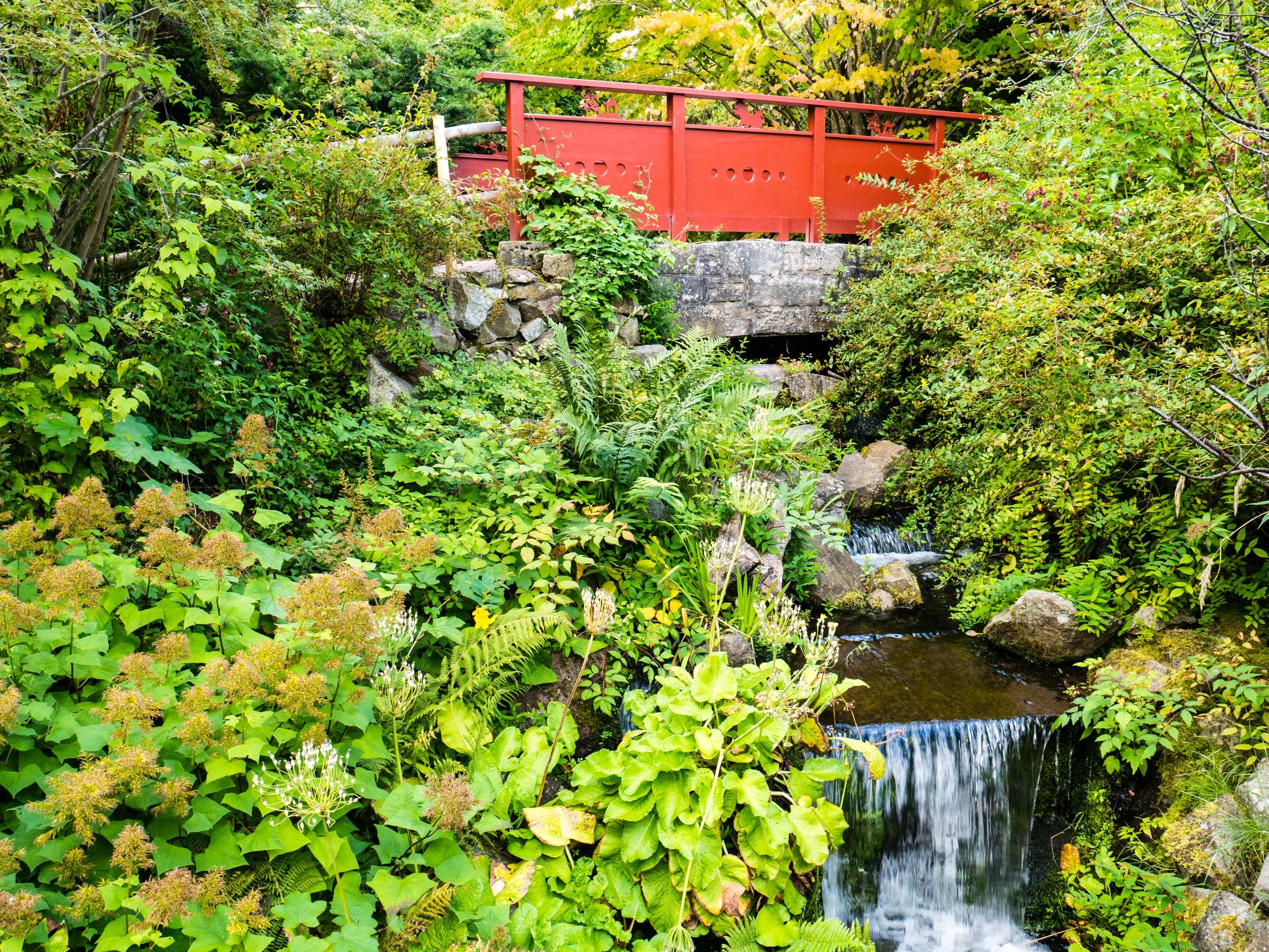 Botanic Gardens, Edinburgh, UK. 