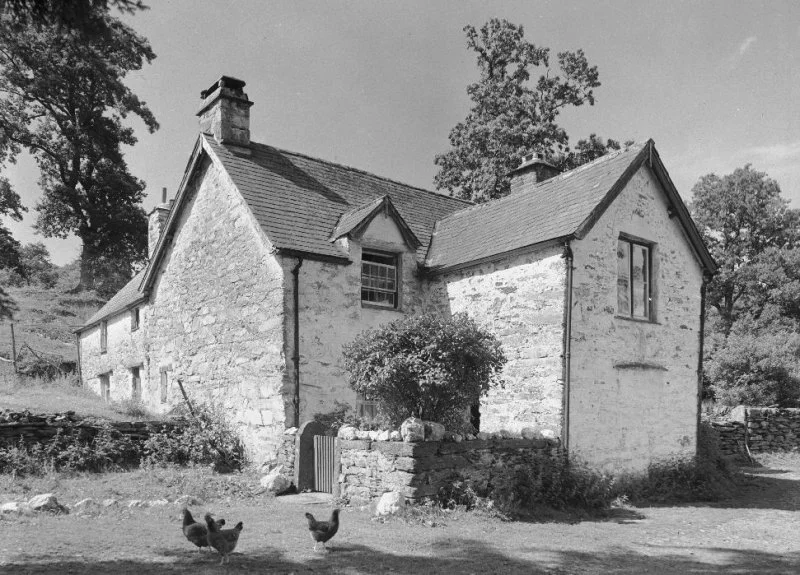 Coed y Ffynnon