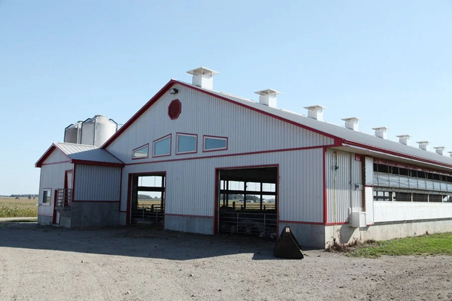 Large white barn with red trim and multiple vents on the roof, situated in a rural area on a sunny day.