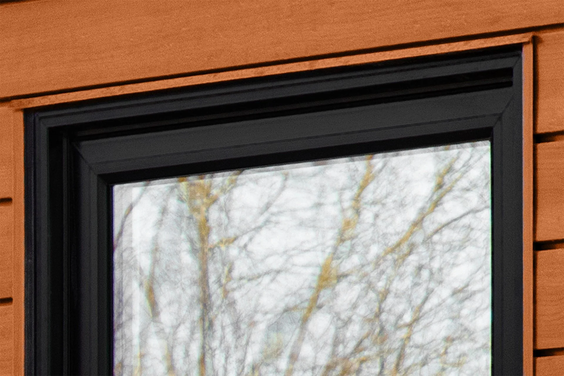 Close-up of a modern window frame with black trim on a wooden exterior wall, with leafless branches and a cloudy sky visible through the window.