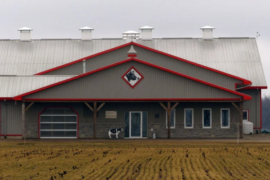 Barn with cow logo, red trim, and cow statue in front, surrounded by a field.
