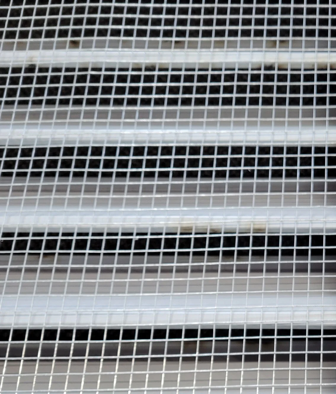 Close-up of a window with white grid-like security bars.