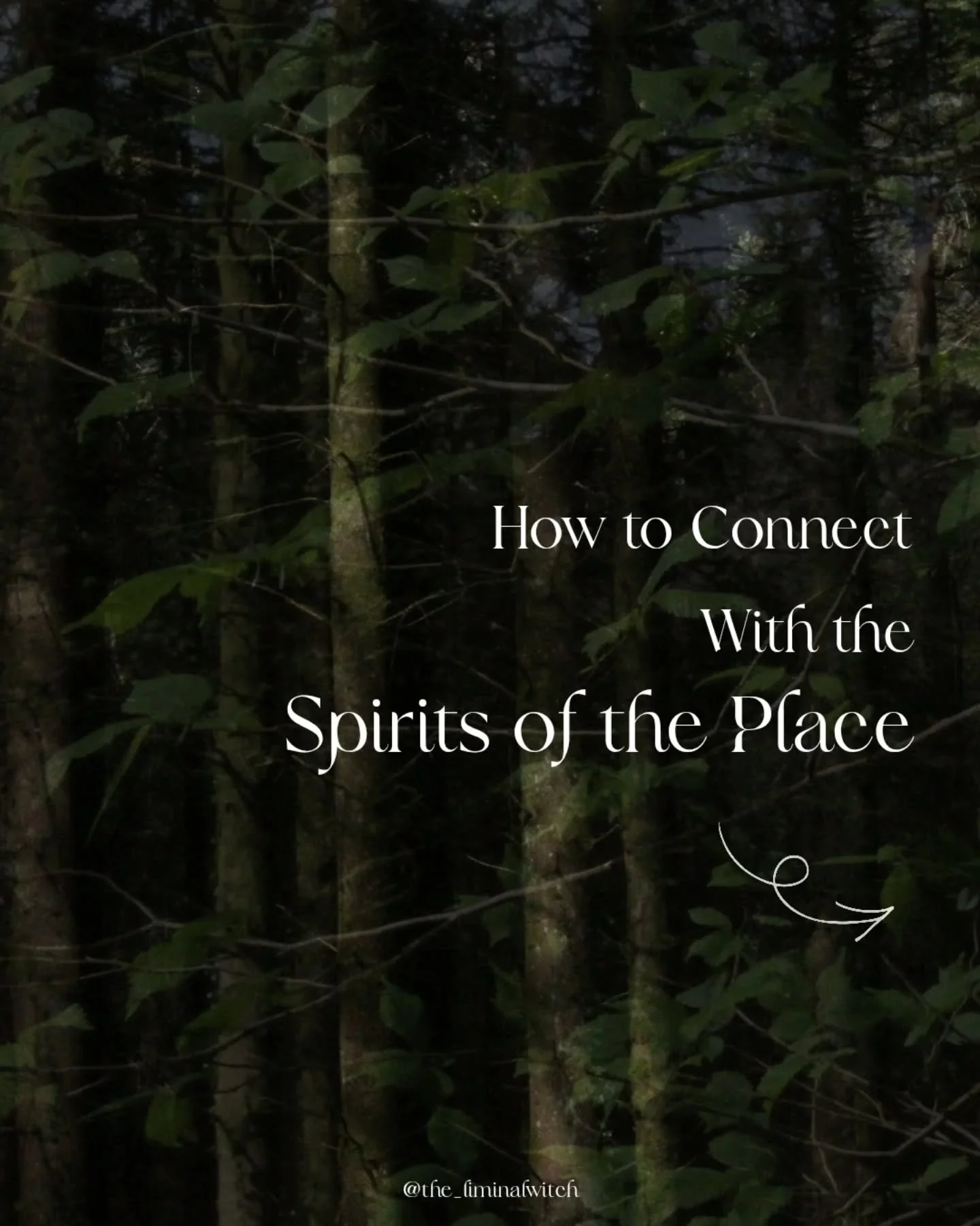 This is something we can all do 👇🏻

I've said it before and I'll say it again- connecting to the Genius loci (or the Spirit of the Place/Land) is something we as magical and spiritual practitioners should take seriously in our craft. It's fine to w