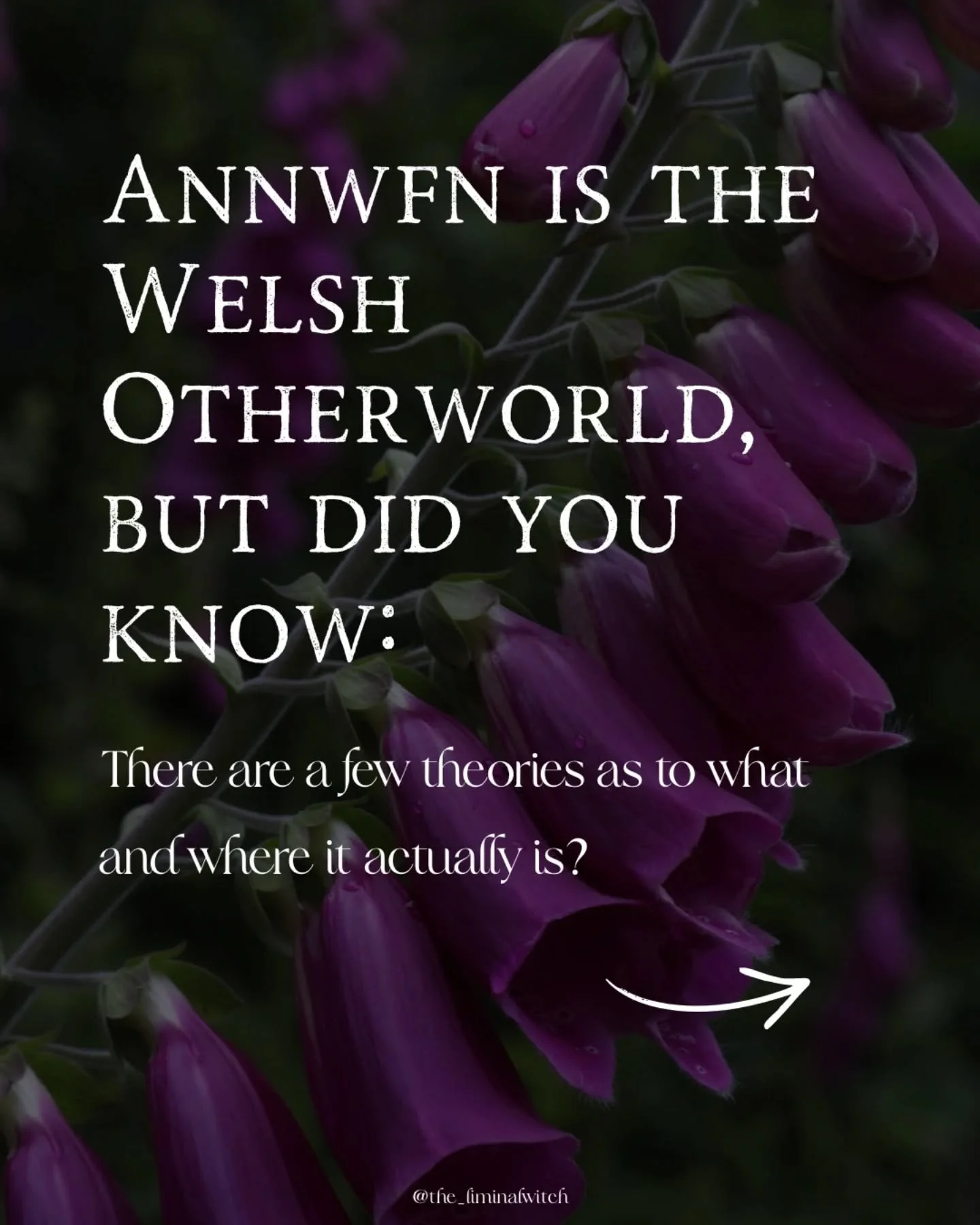 Annwfn is magical 👇🏻

And super mysterious! 

One of my absolute favourite things to do is to speculate as to what and where Annwfn actually is- and it's surprising how many different ideas there are!

I've had so many conversations with people abo