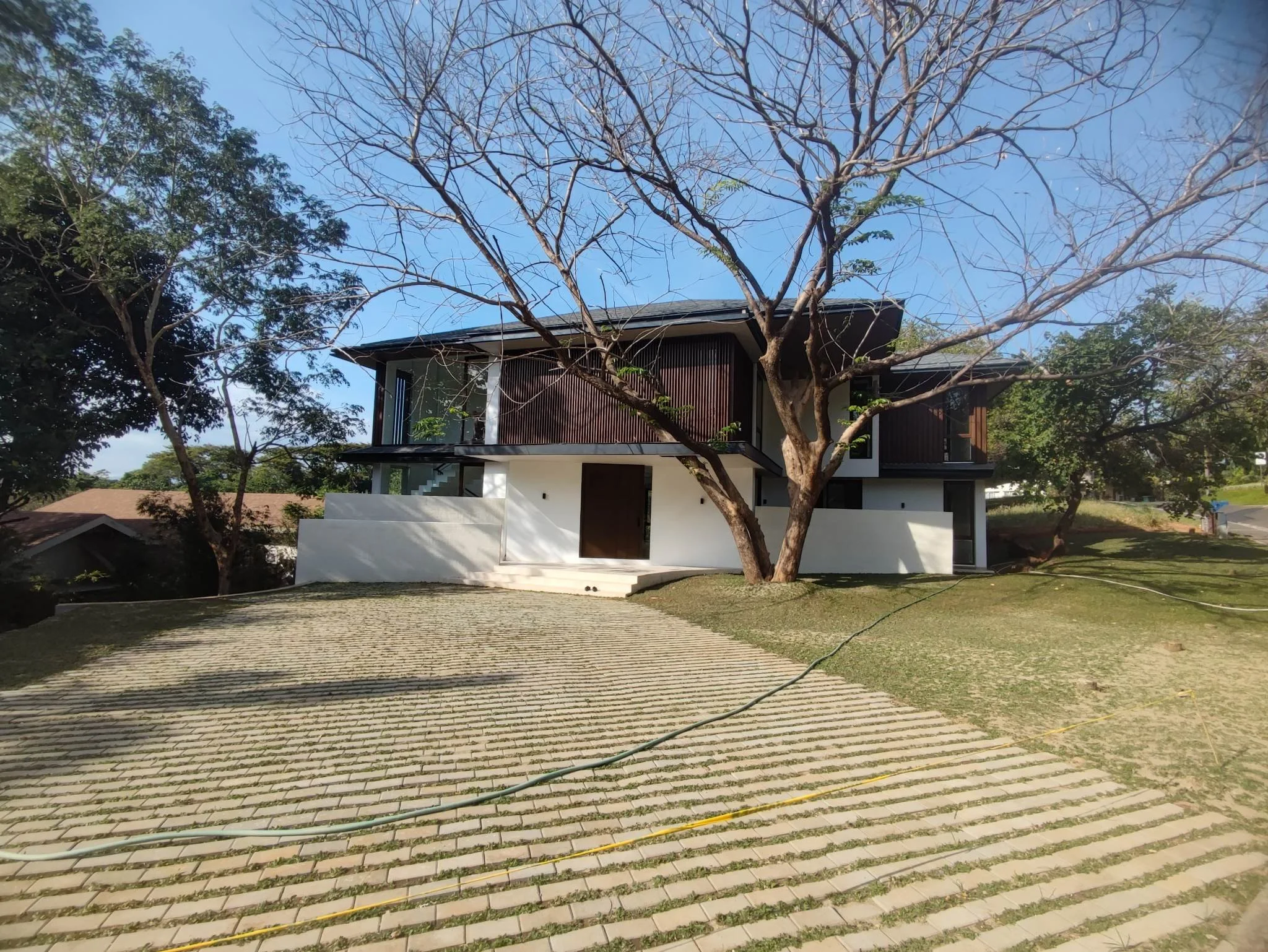 Frontal View