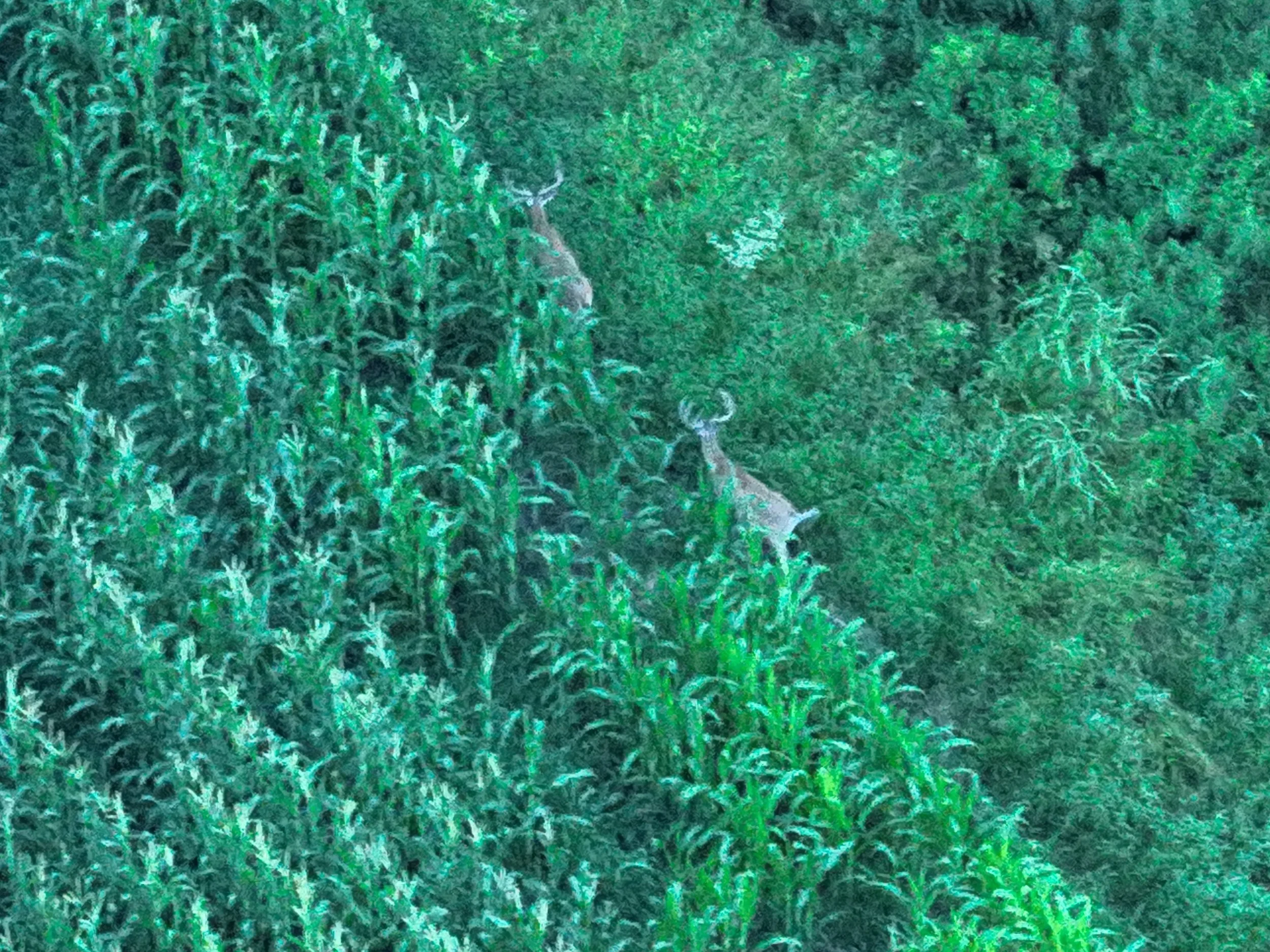 DJI_20260704210622_0003_V.jpeg