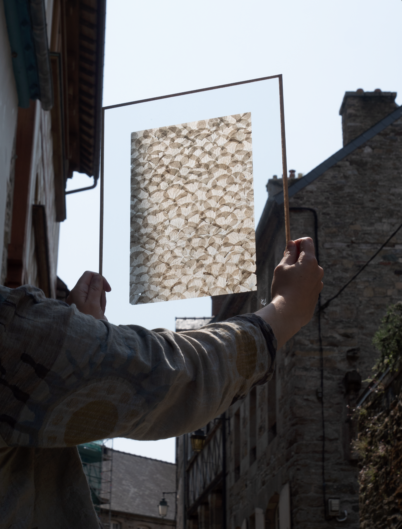 Envolée d’Hortensias