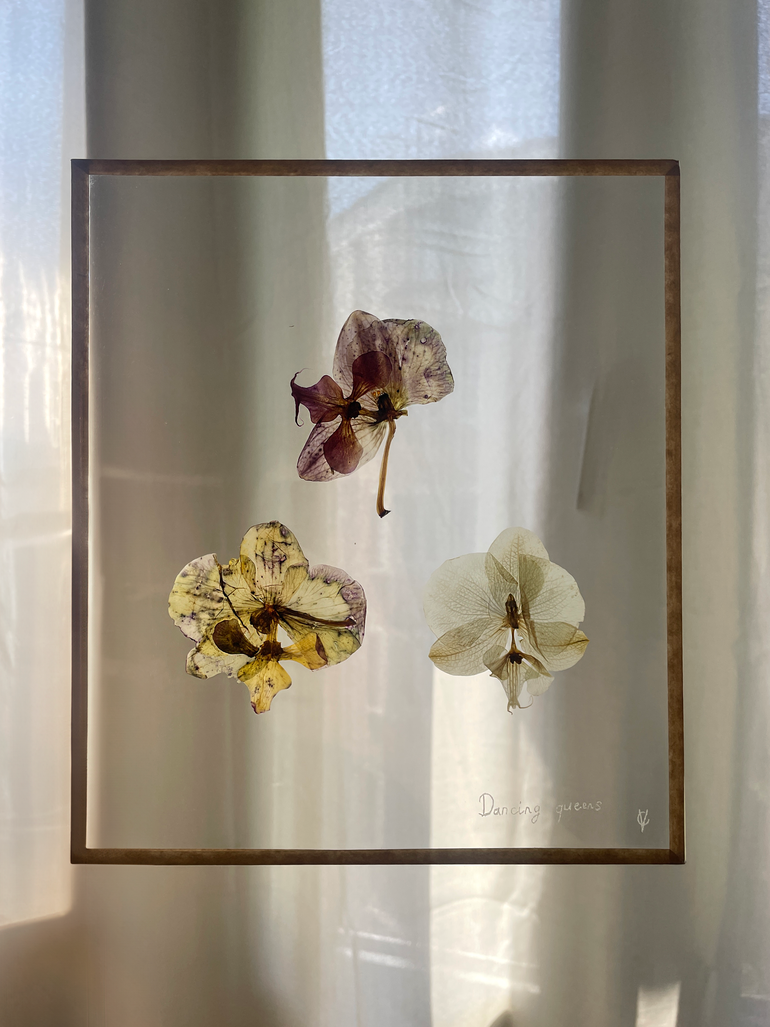 Tableau à partir d'orchidées pressées. En bas à droite, le texte "Dancing queens" est écrit à la main.