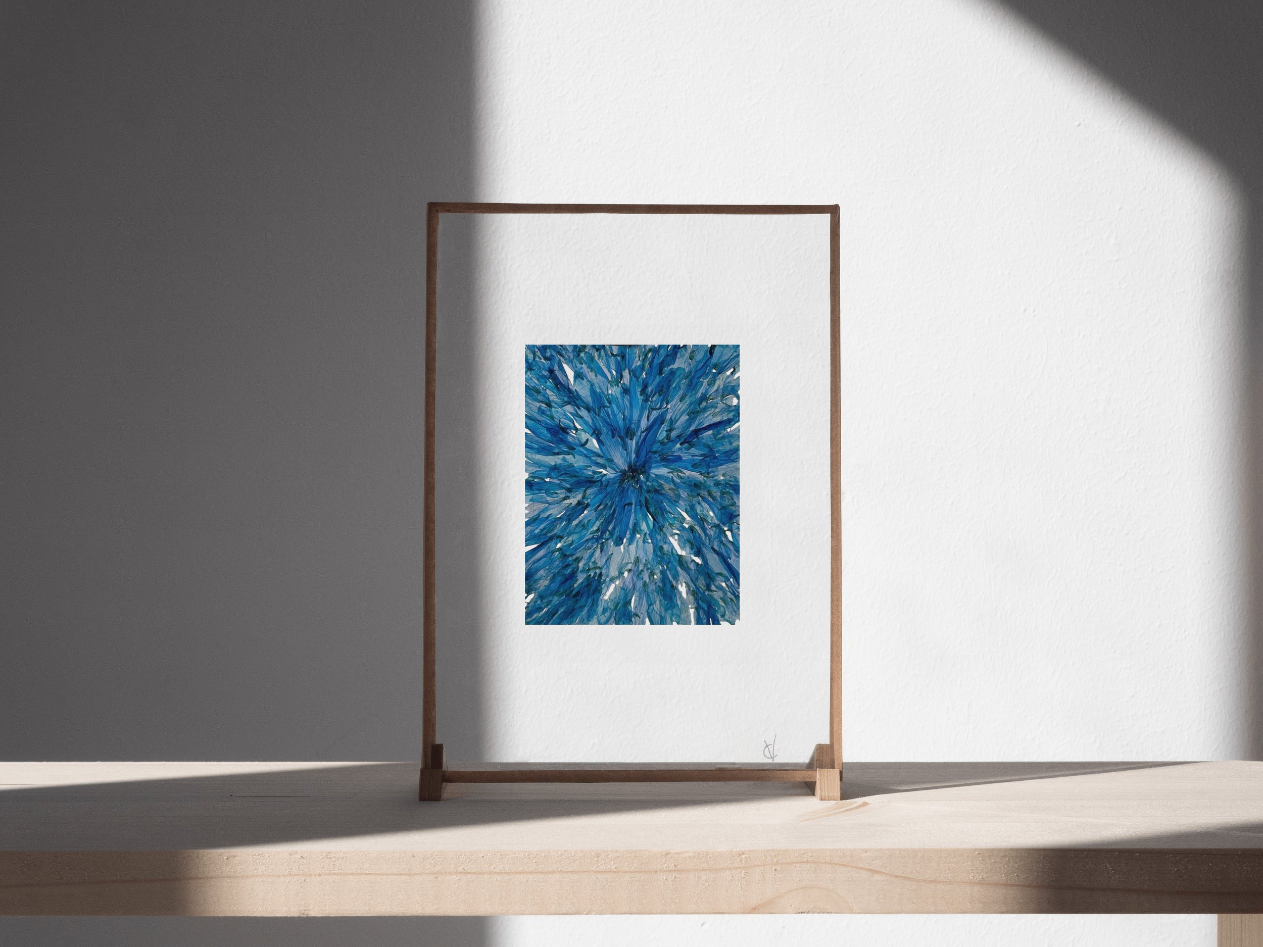 orphose_cadre_bleu_rectangle.jpg