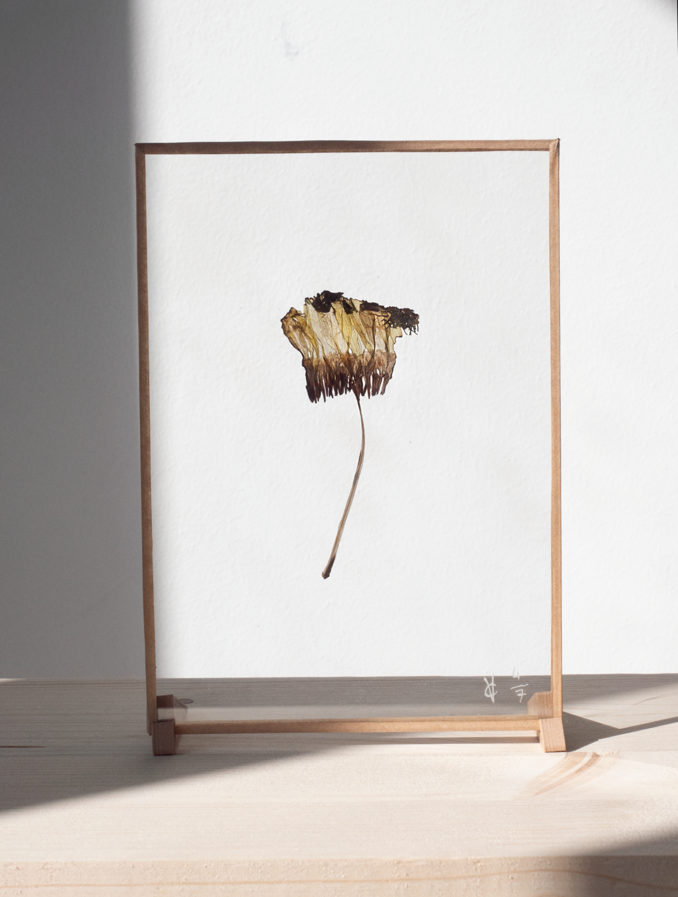 Variété inédite 4/7