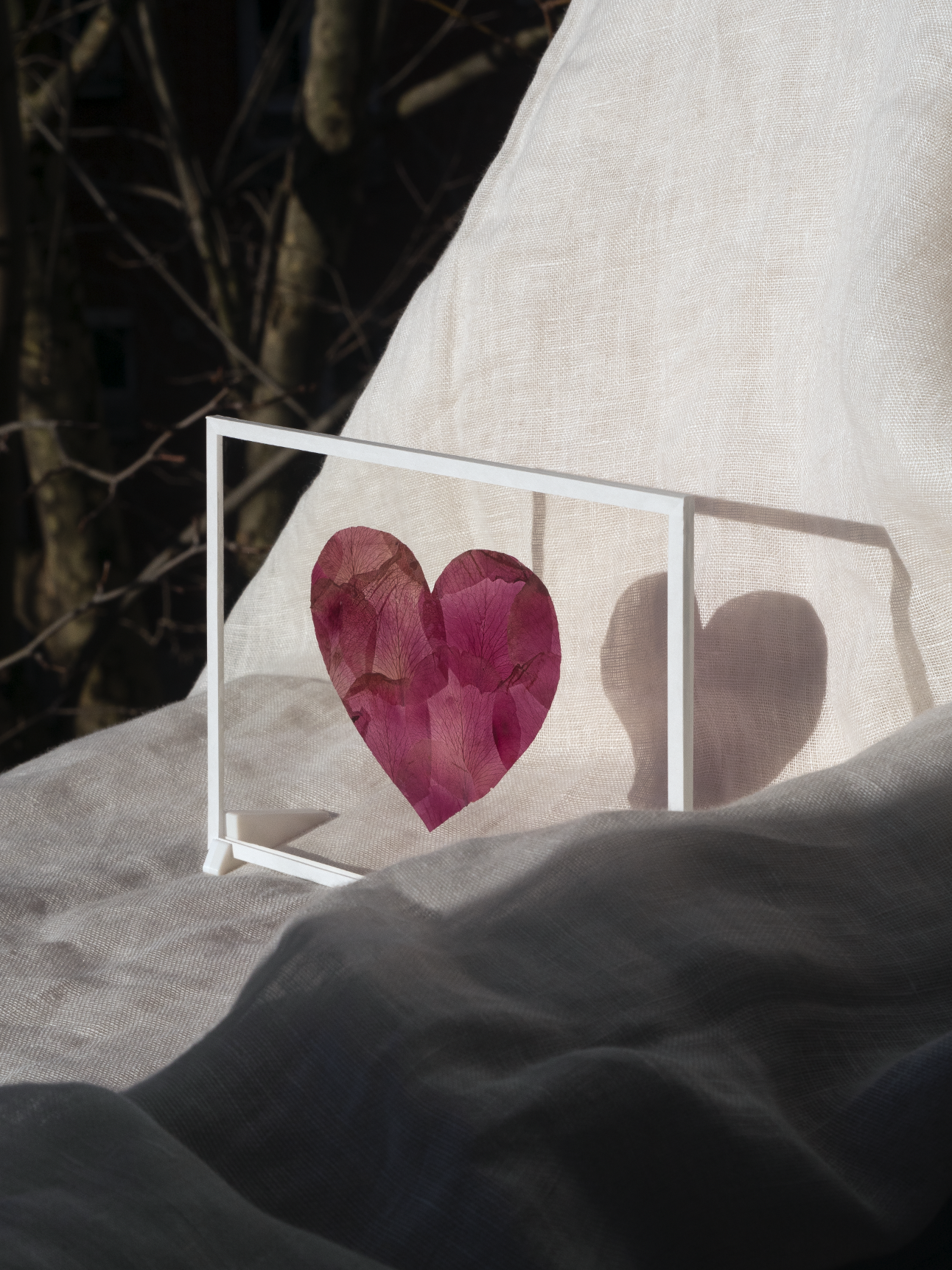 Capture d’écran 2026-02-03 à 11.00.42.png