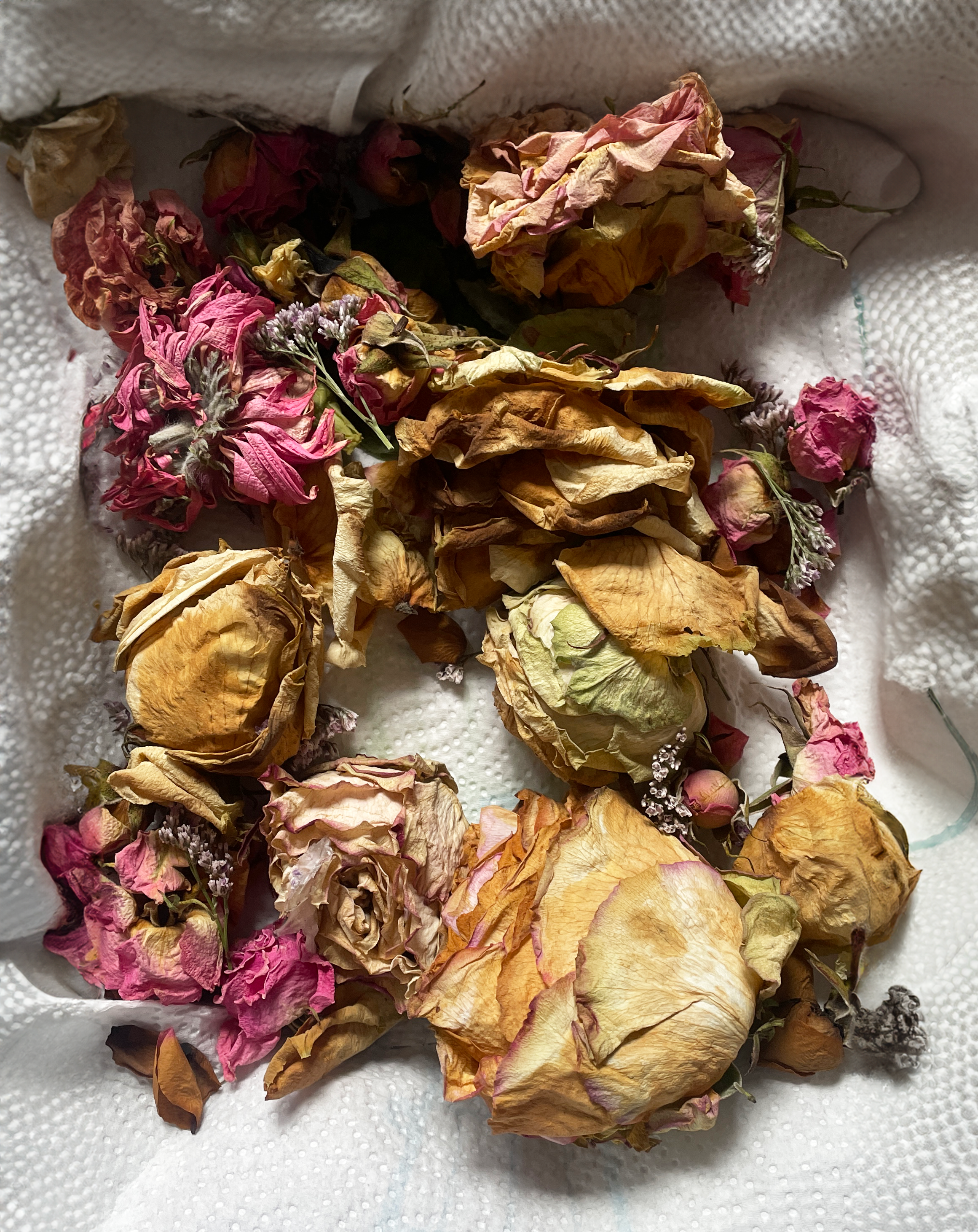 Les fleurs de Christine