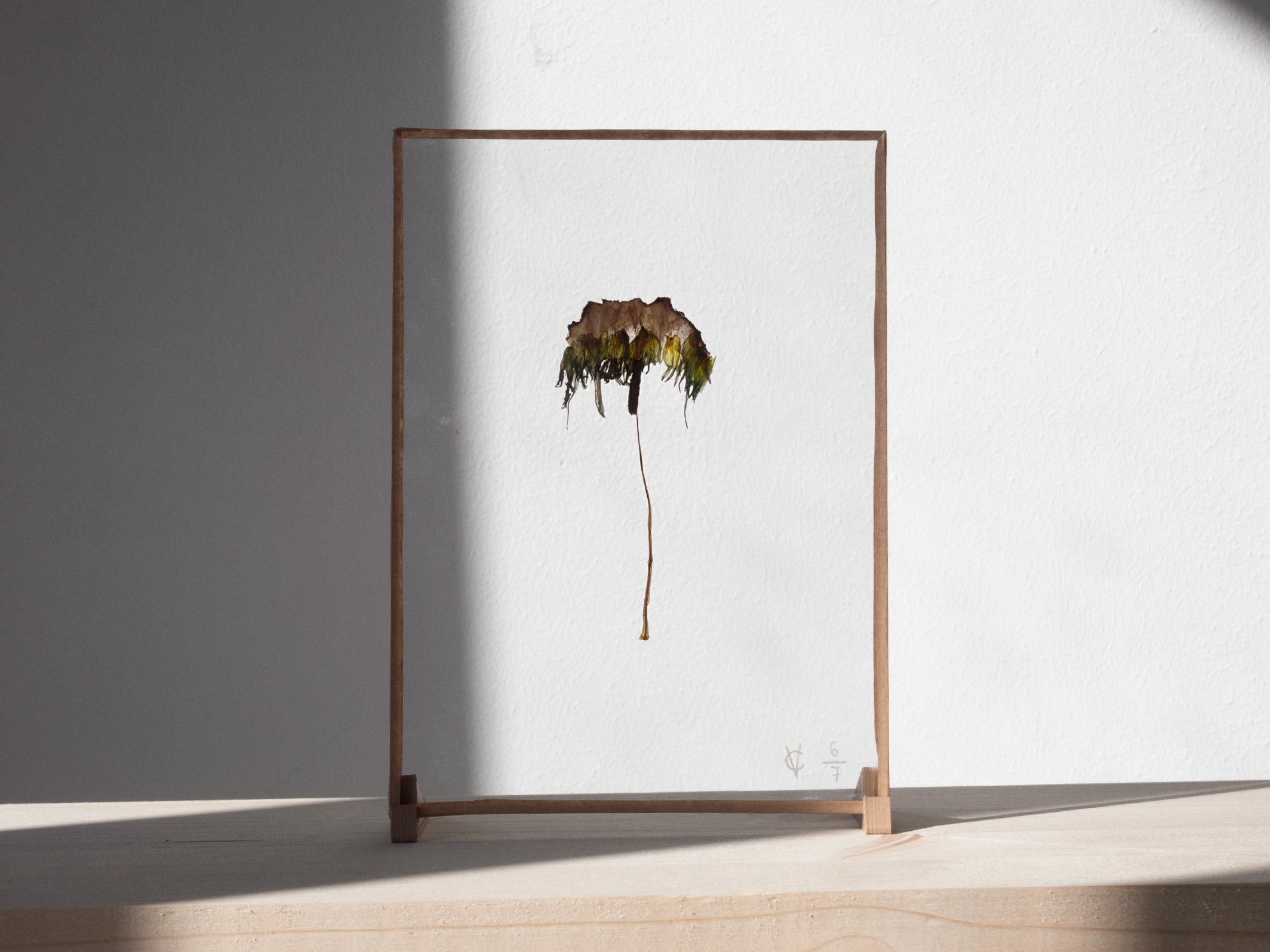 Variété inédite 6/7