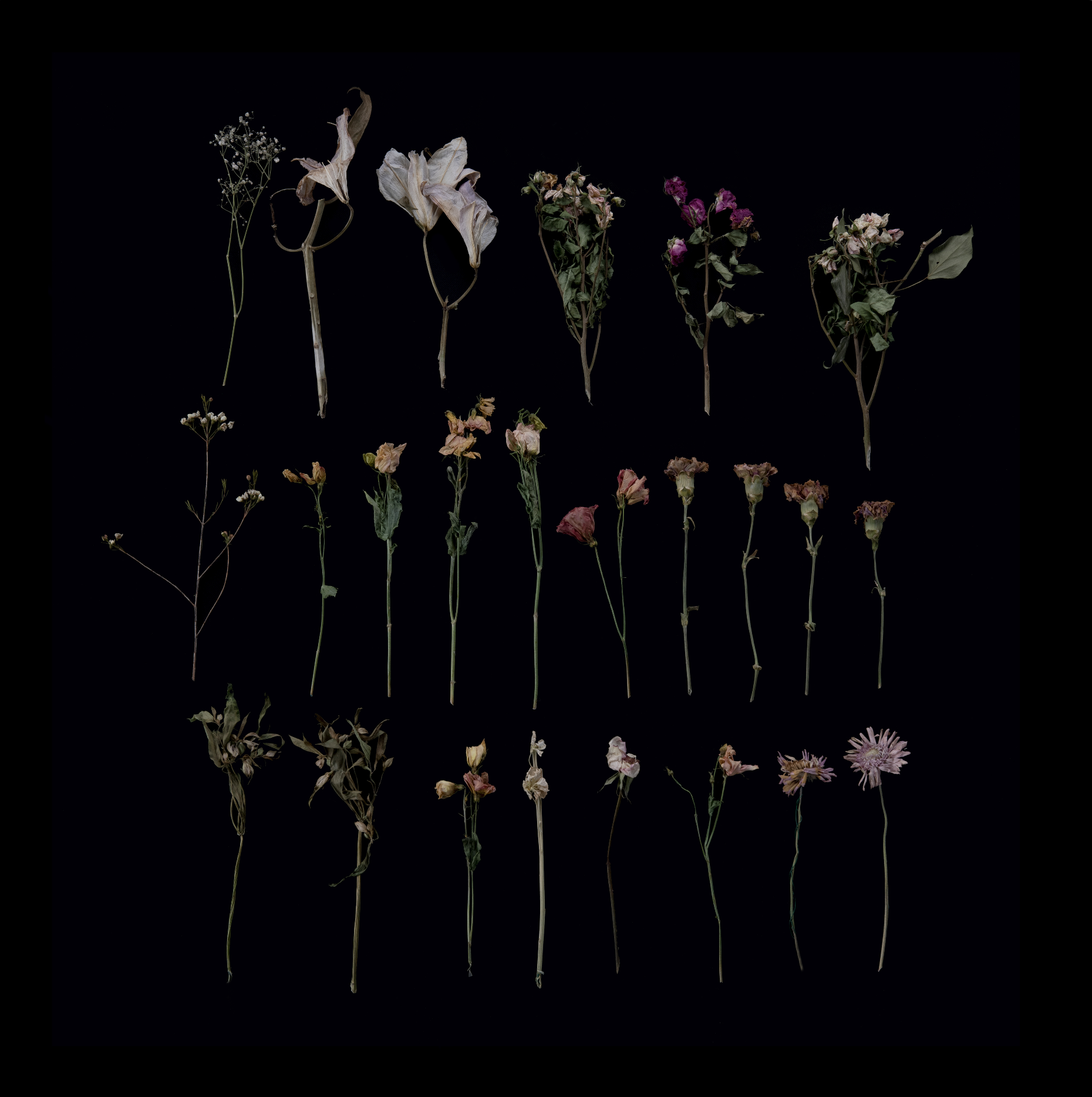 Capture d’écran 2025-12-19 à 22.58.12.png