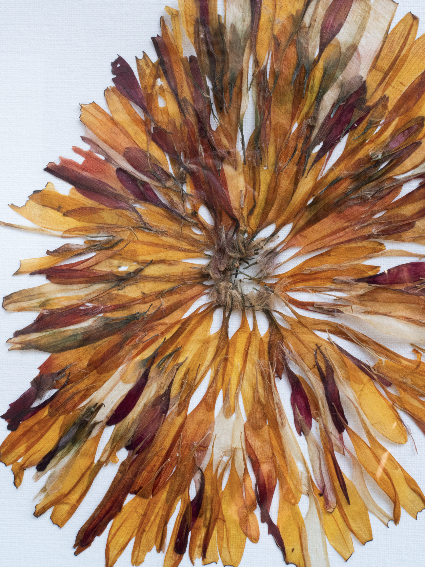 Capture d’écran 2025-12-19 à 12.03.53.png