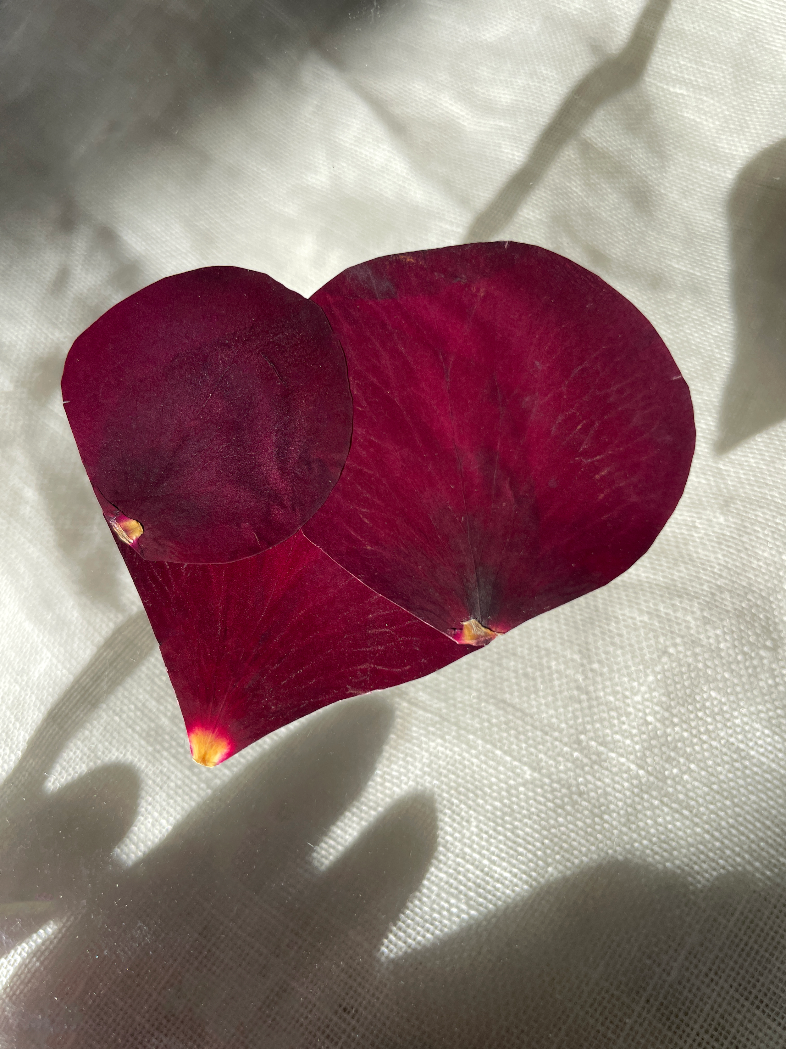 Bisou – Tableau cœur en pétales de roses recyclées | Cadeau durable Saint-Valentin.png