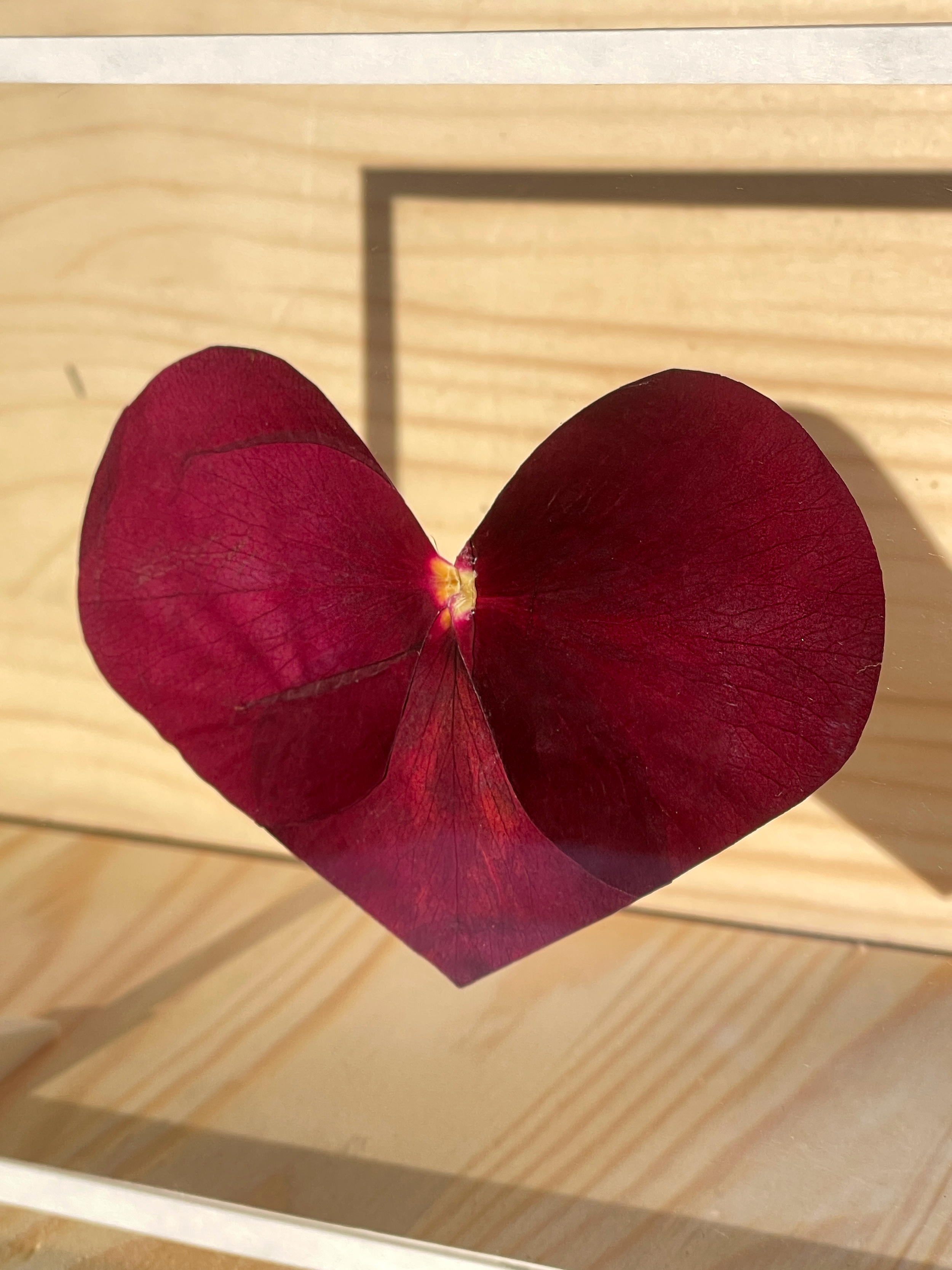Bisou – Tableau cœur en pétales de roses recyclées | Cadeau durable Saint-Valentin.png