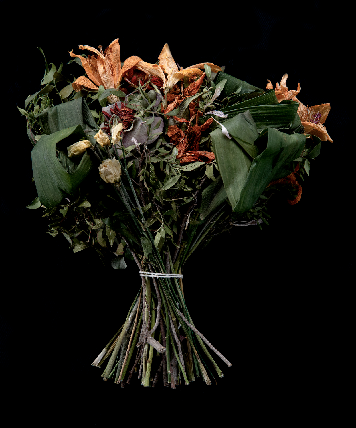 Capture d’écran 2024-08-29 à 12.45.07.png