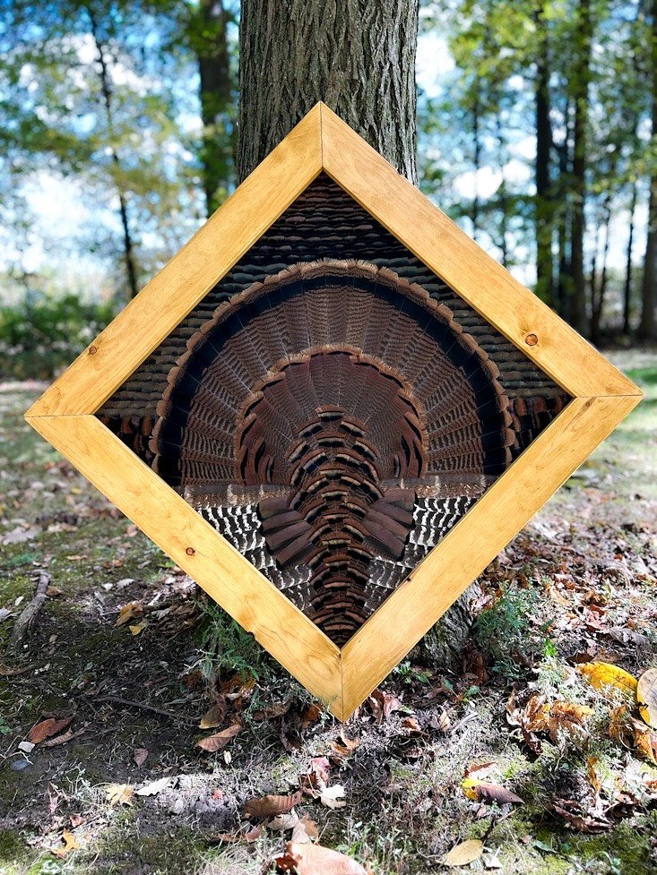 Turkey feather art outdoors