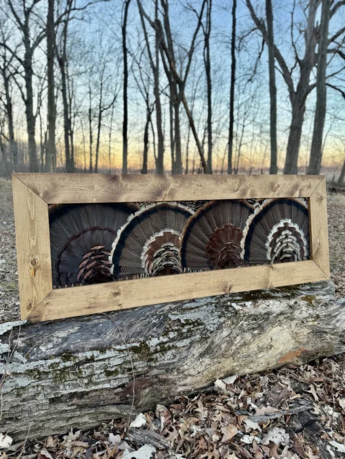 Grand Slam turkey fan frame