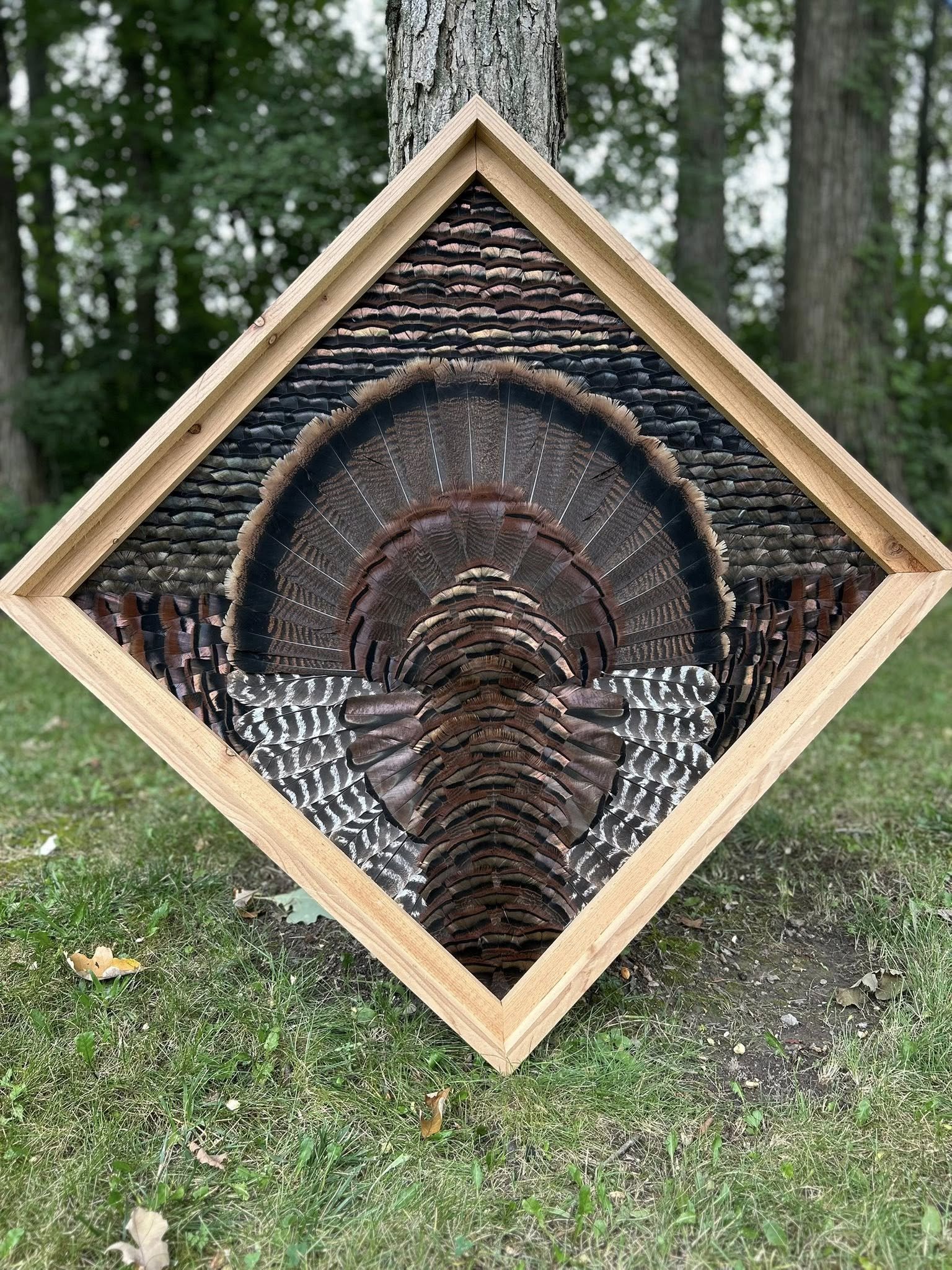 Diamond style turkey feather art