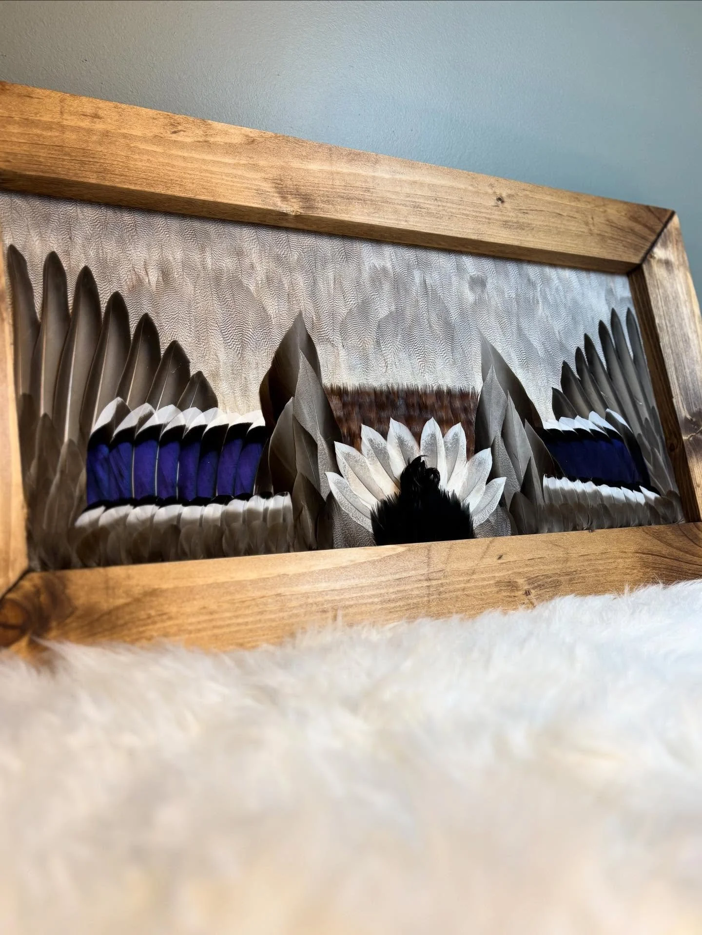 Duck feather art framed display