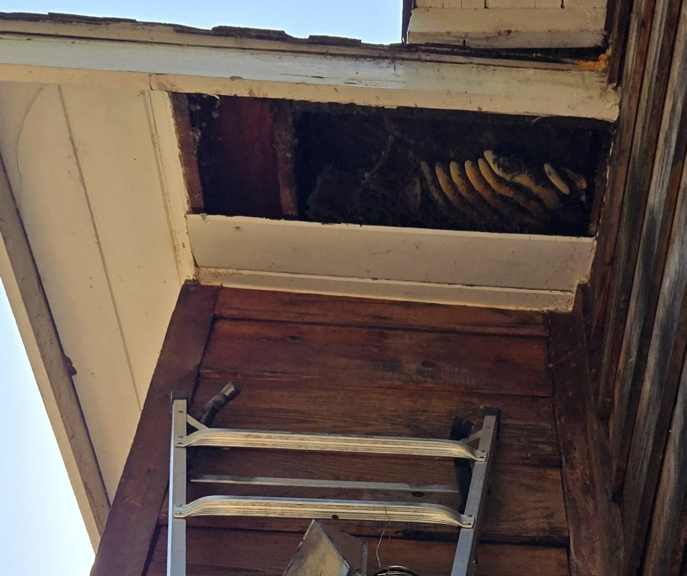 A small, open roof vent in a bathroom ceiling with a view of the sky, a wooden cabinet or wall, a step ladder, and a window.