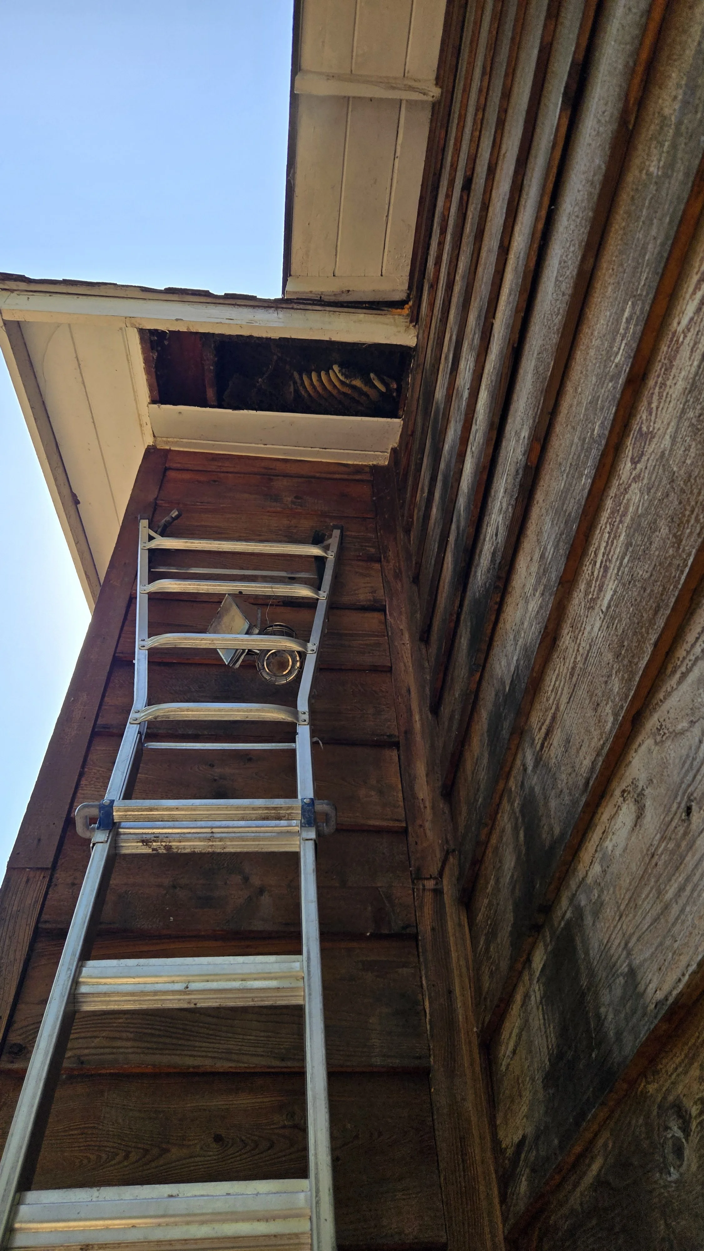 A metal ladder leaning against a wooden wall inside a house, with an open ceiling exposing the sky and part of the attic space.
