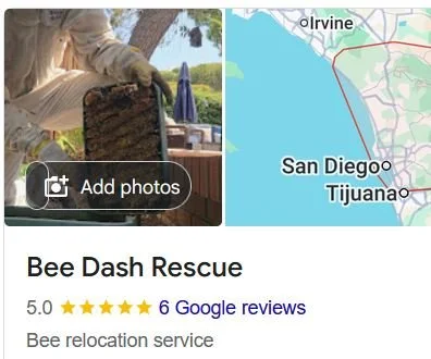 Screenshot of Bee Dash Rescue Google busines profile showing 5 star reviews and map of service area.