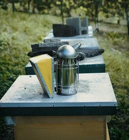 A row of grave markers with candles and flowers at a cemetery during daytime.