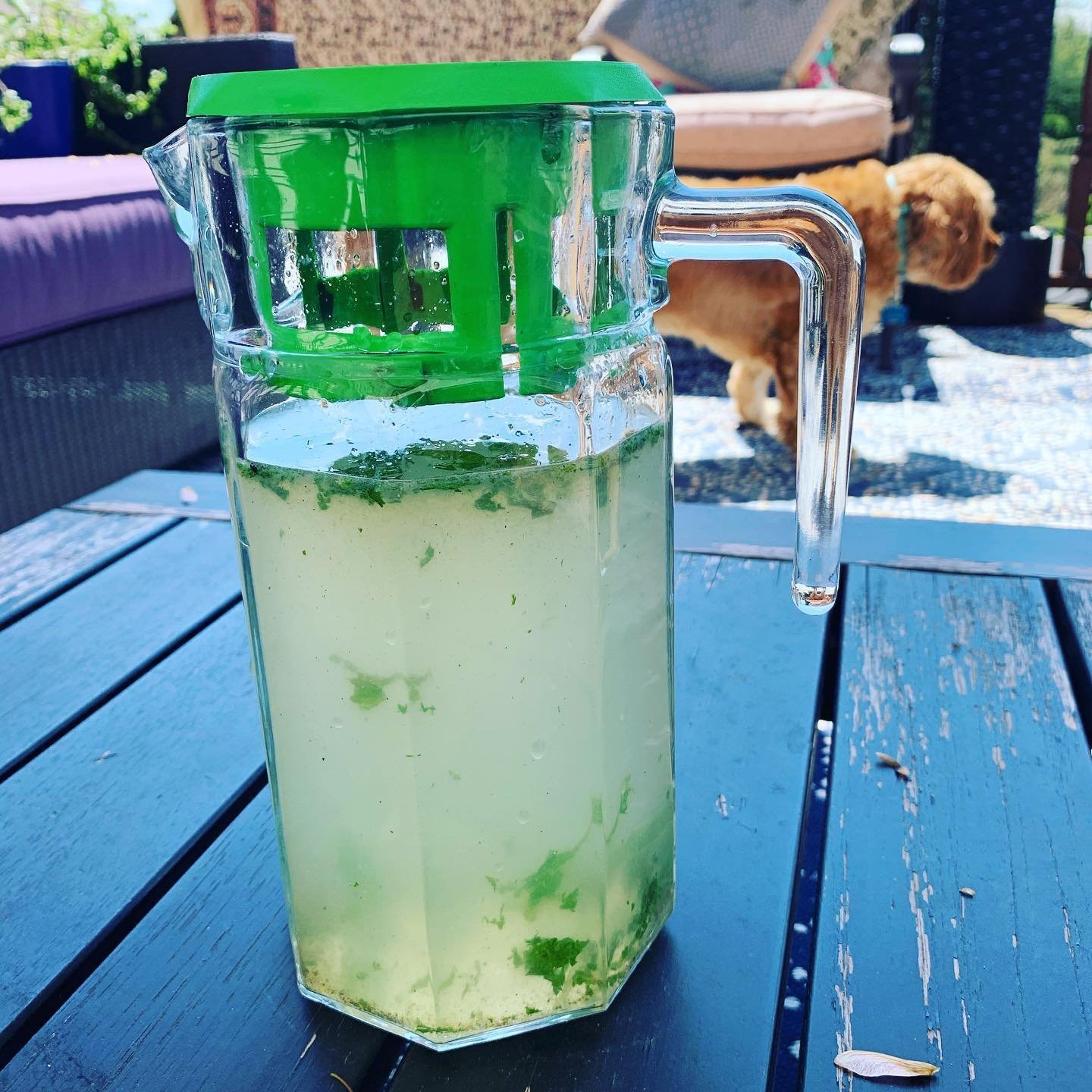 Ayurvedic limeade! This drink not only hydrates but also boosts digestion! Fill up your jug with filtered water, add the juice of two limes, a handful of mint, a tablespoon of black salt, and a tablespoon of black pepper. Black salt is great for dige