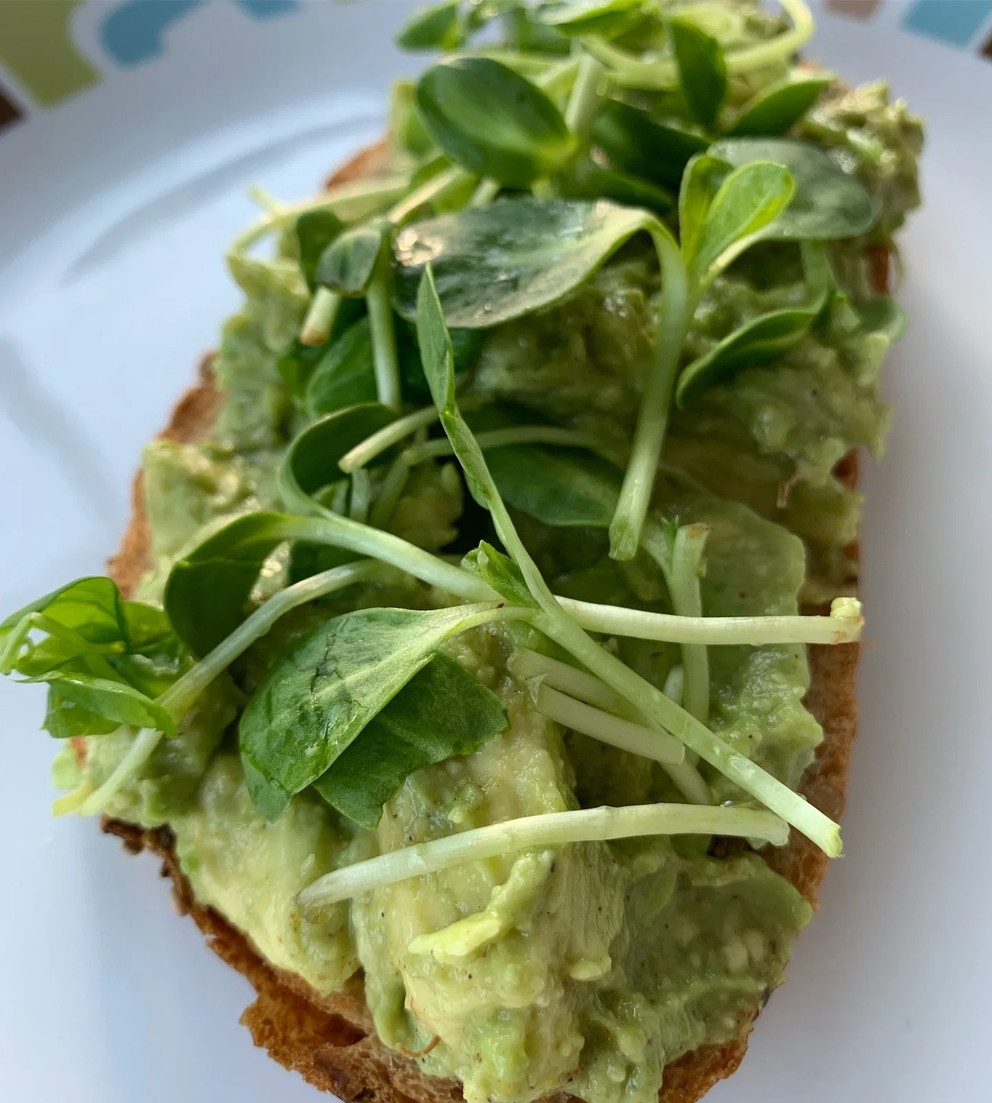 Ever consider Ayurvedic herbs on your 🥑 toast? I mixed avocado with cumin, turmeric, lime, and garlic salt. Topped with pea and sunflower shoots from the farmers market. #ayurveda #ayurvedic #sundaysinsaffron #avocadotoast #avocado