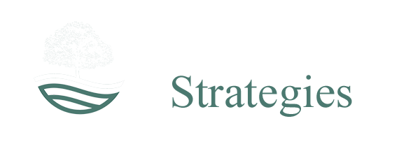 Open River Strategies
