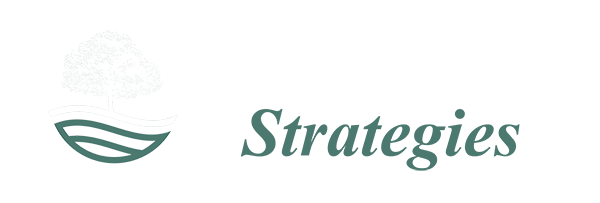 Open River Strategies
