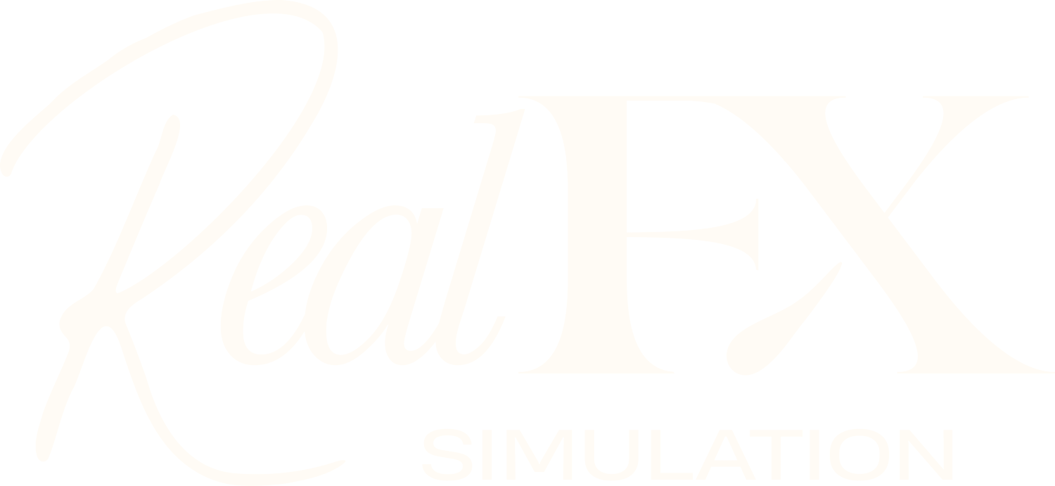 Real FX Simulation