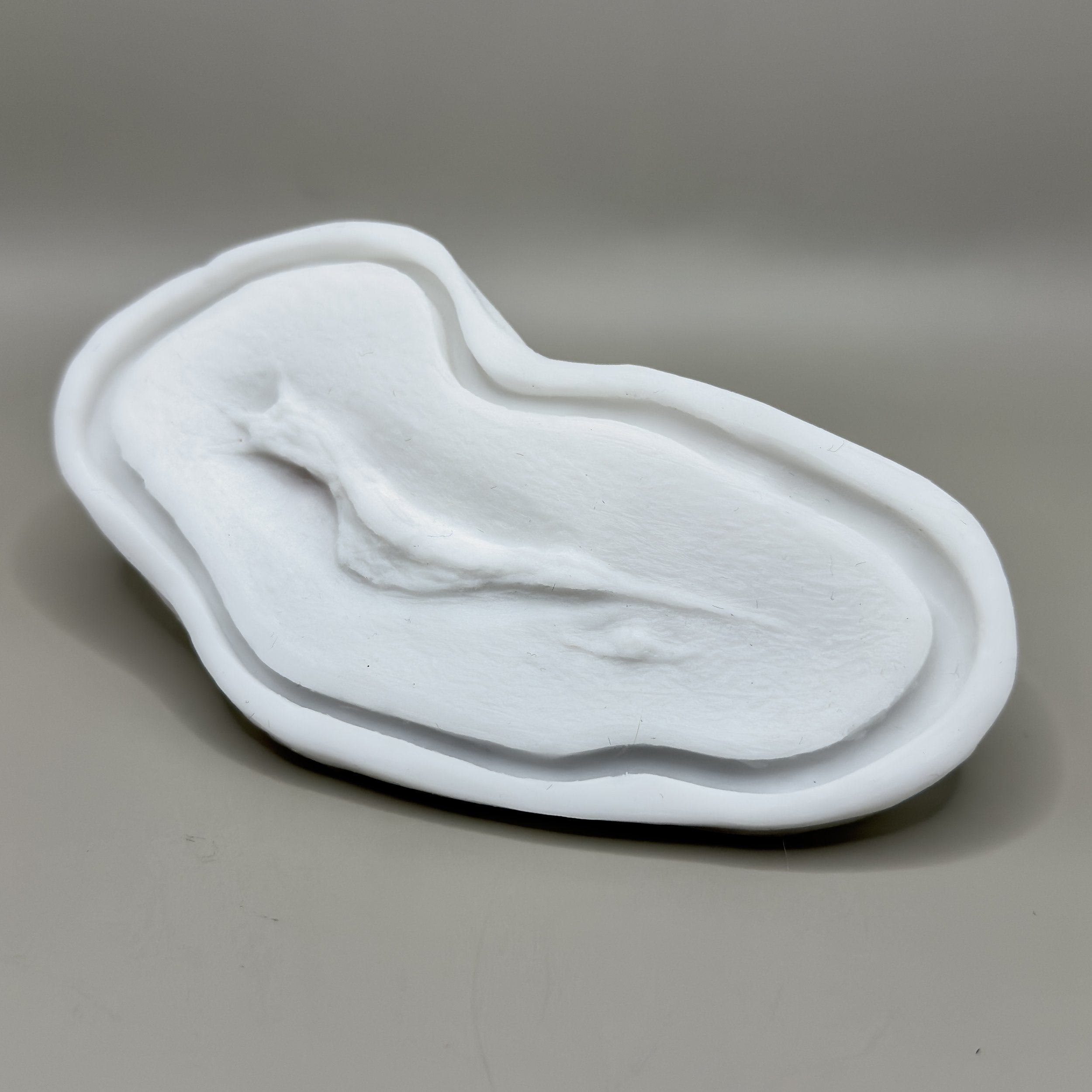 Wound Transfer Plates - Large Laceration