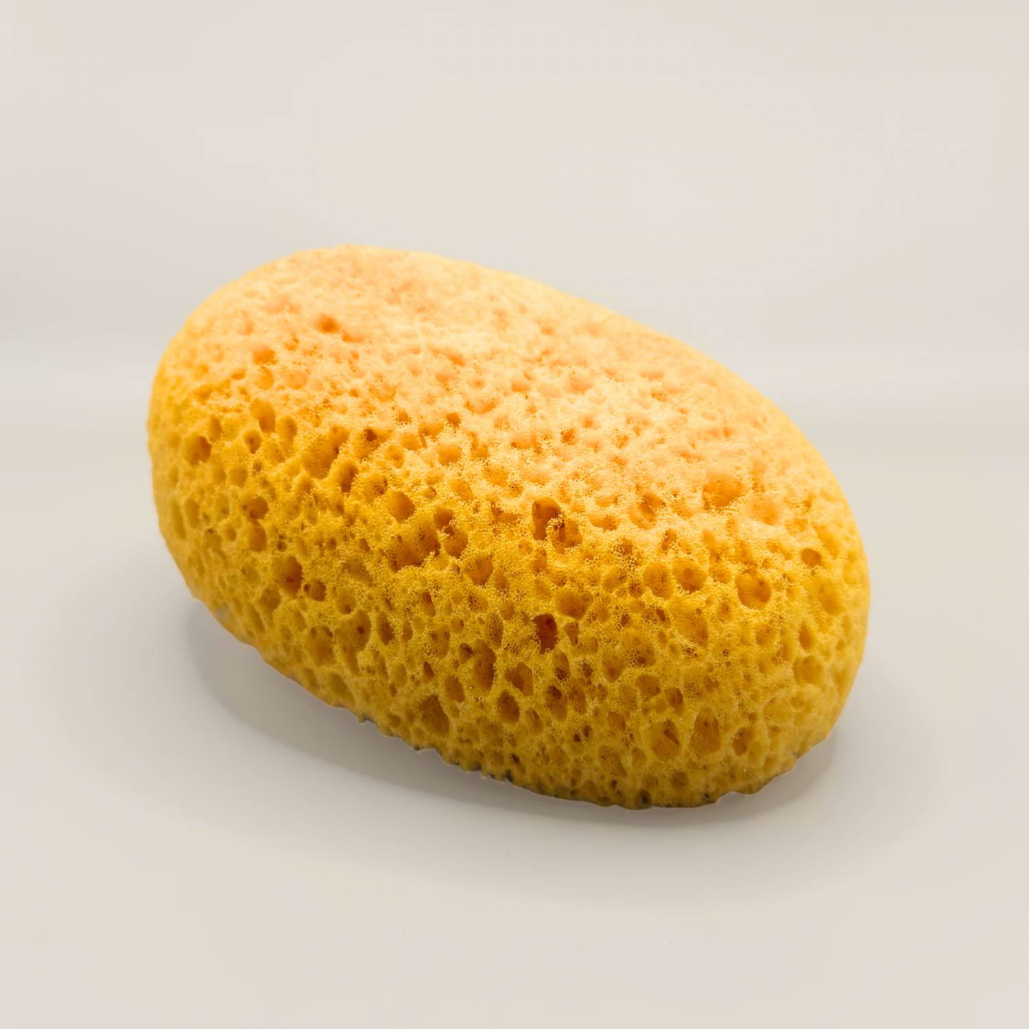 Textured Moulage Sponge