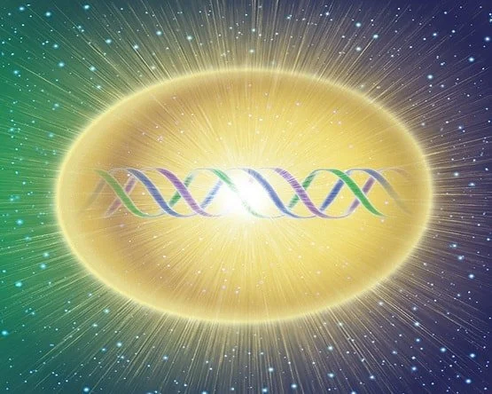 DNA Activation